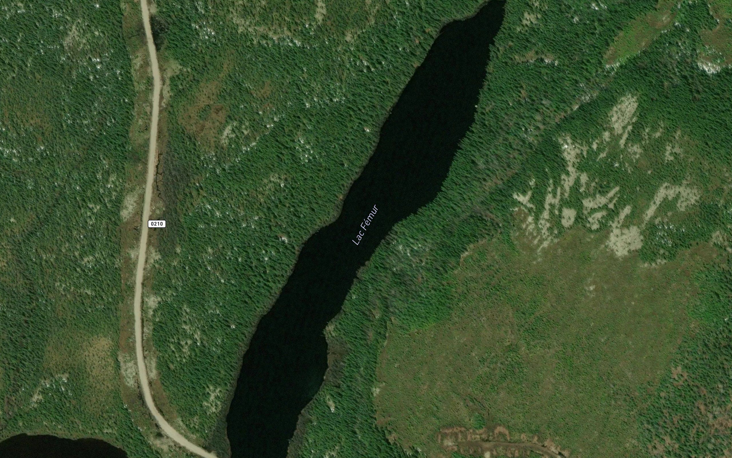 Lac Femur
