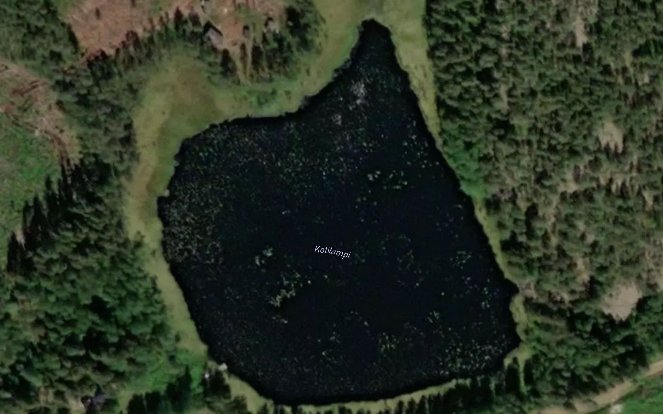 Kotilampi
