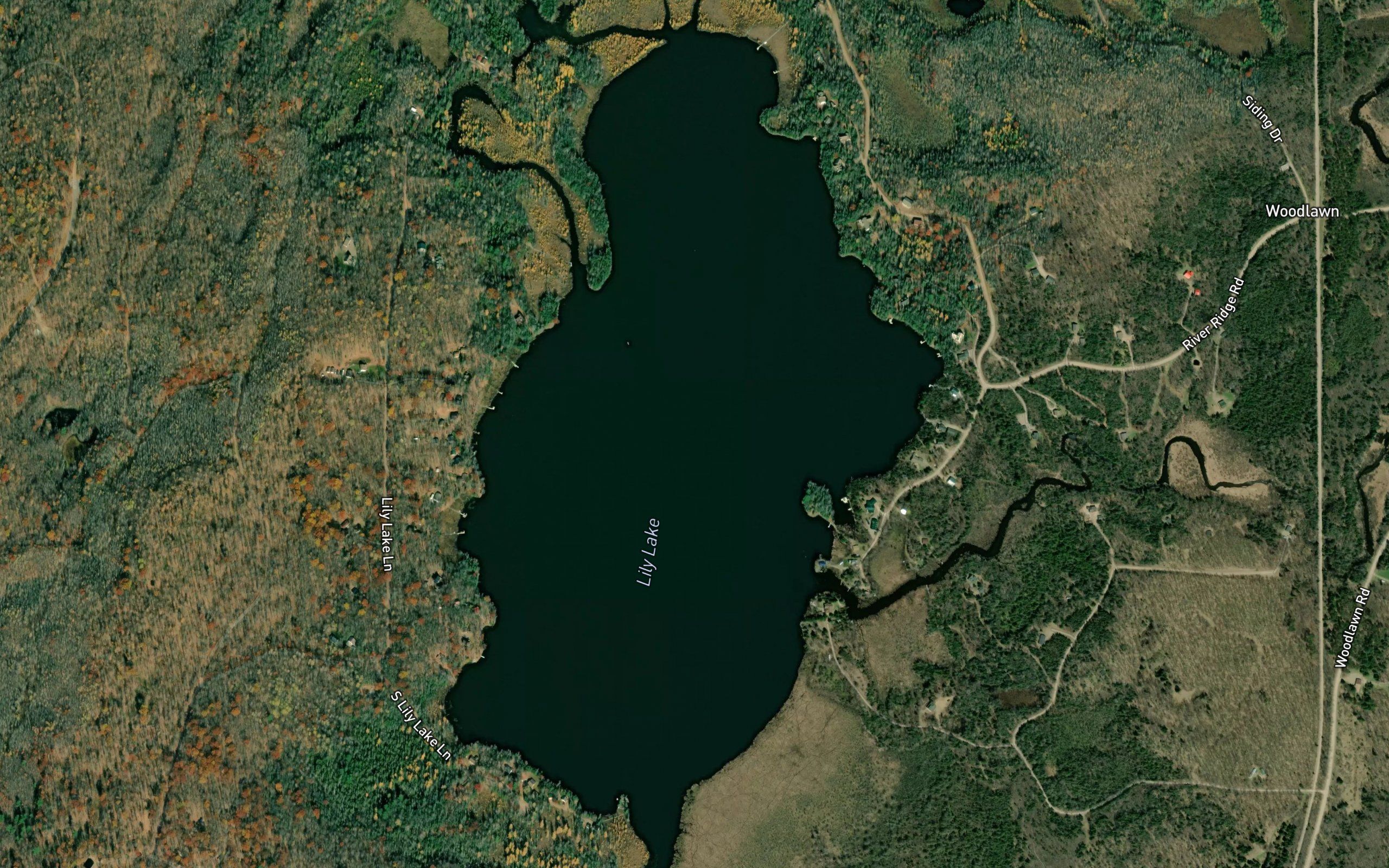 Lily Lake