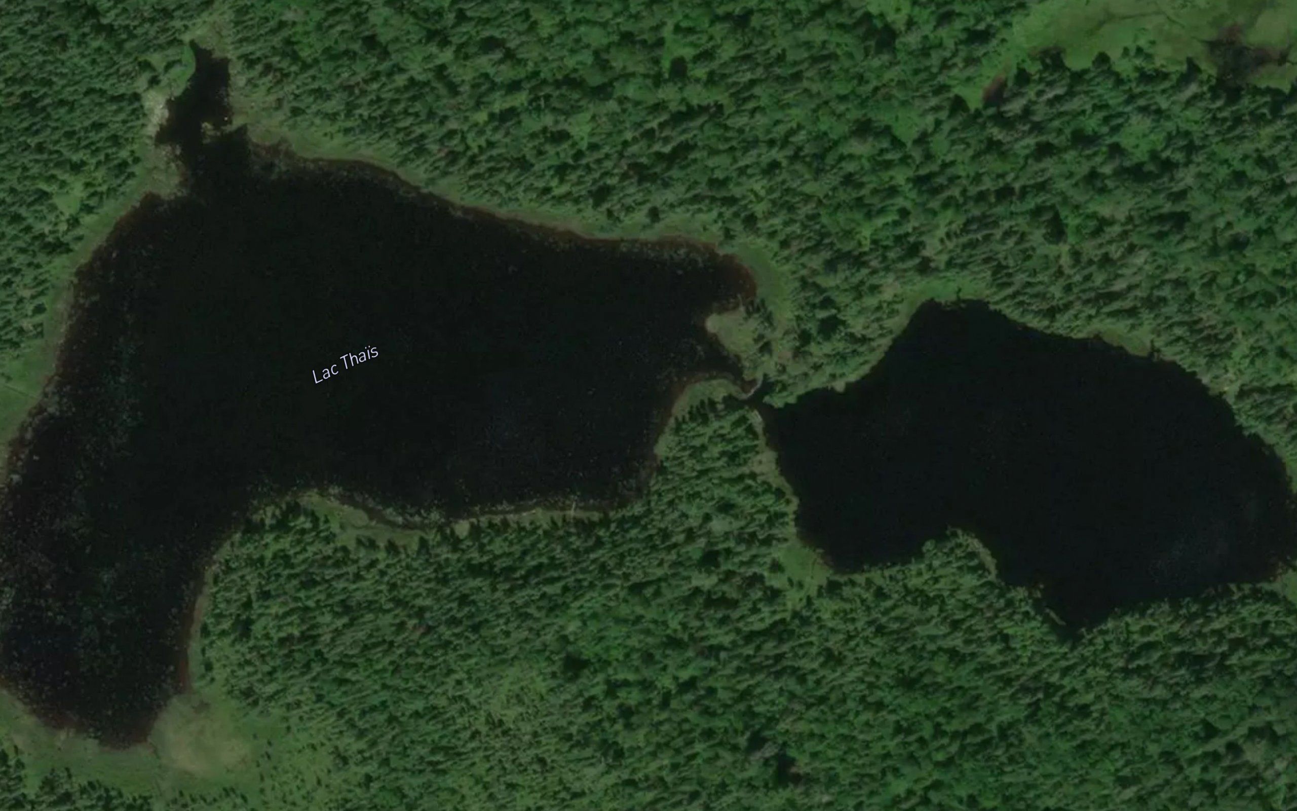 Lac Thais