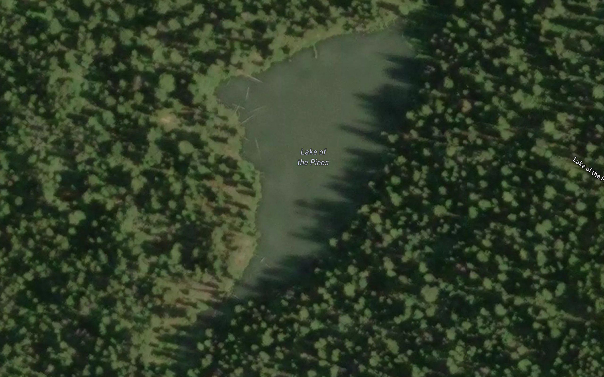 Lake of the Pines