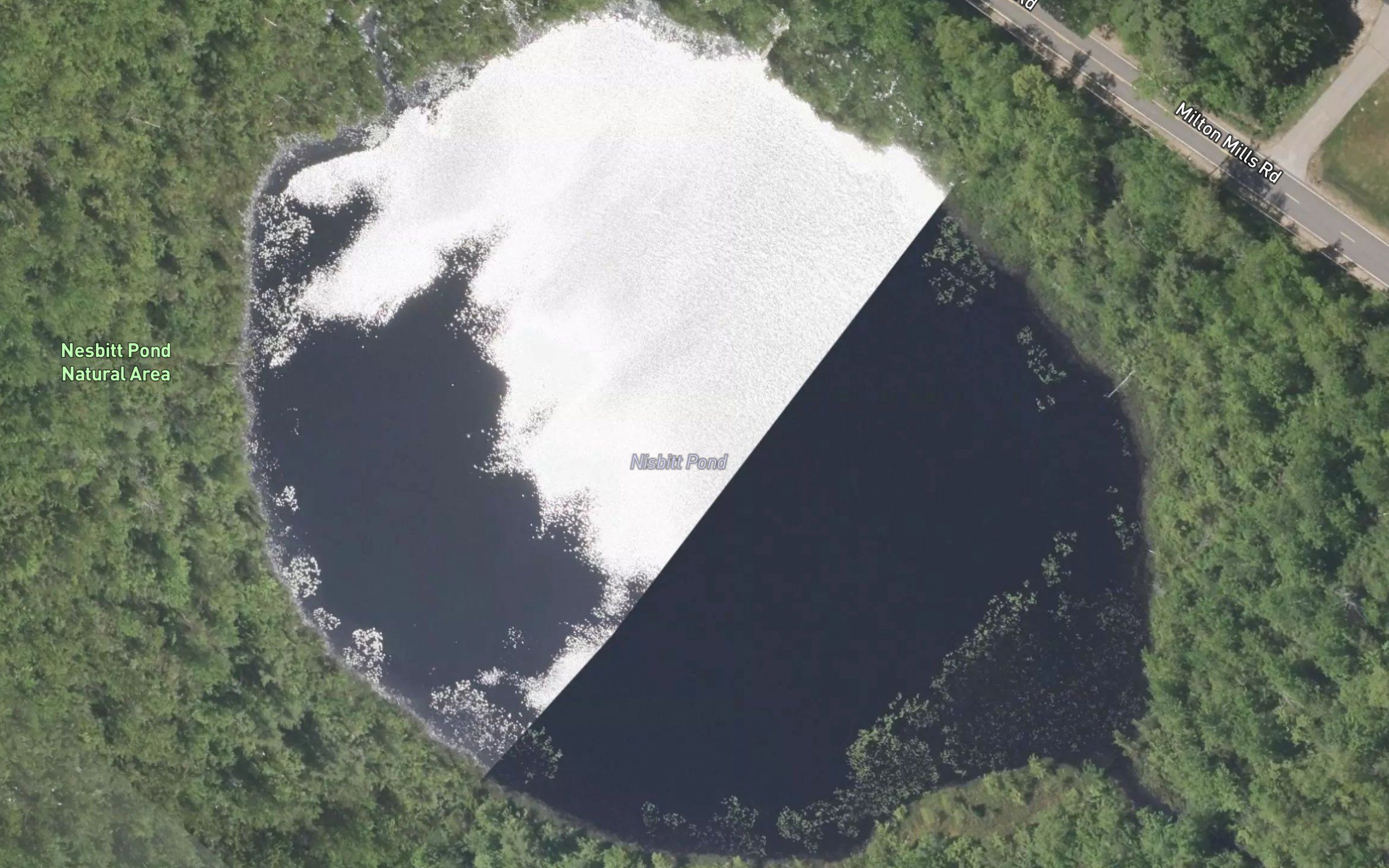 Nisbitt Pond