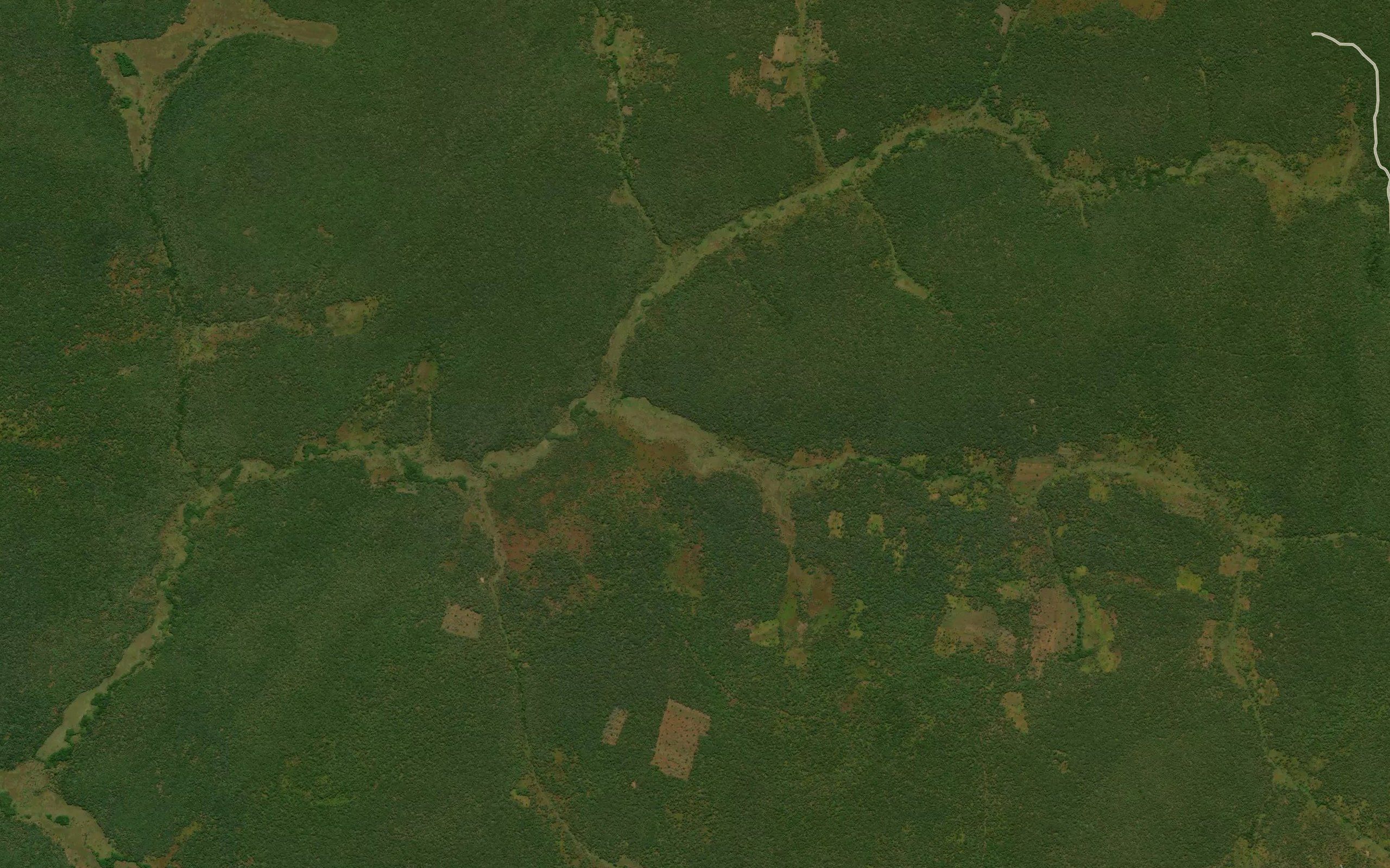 Kachingwana