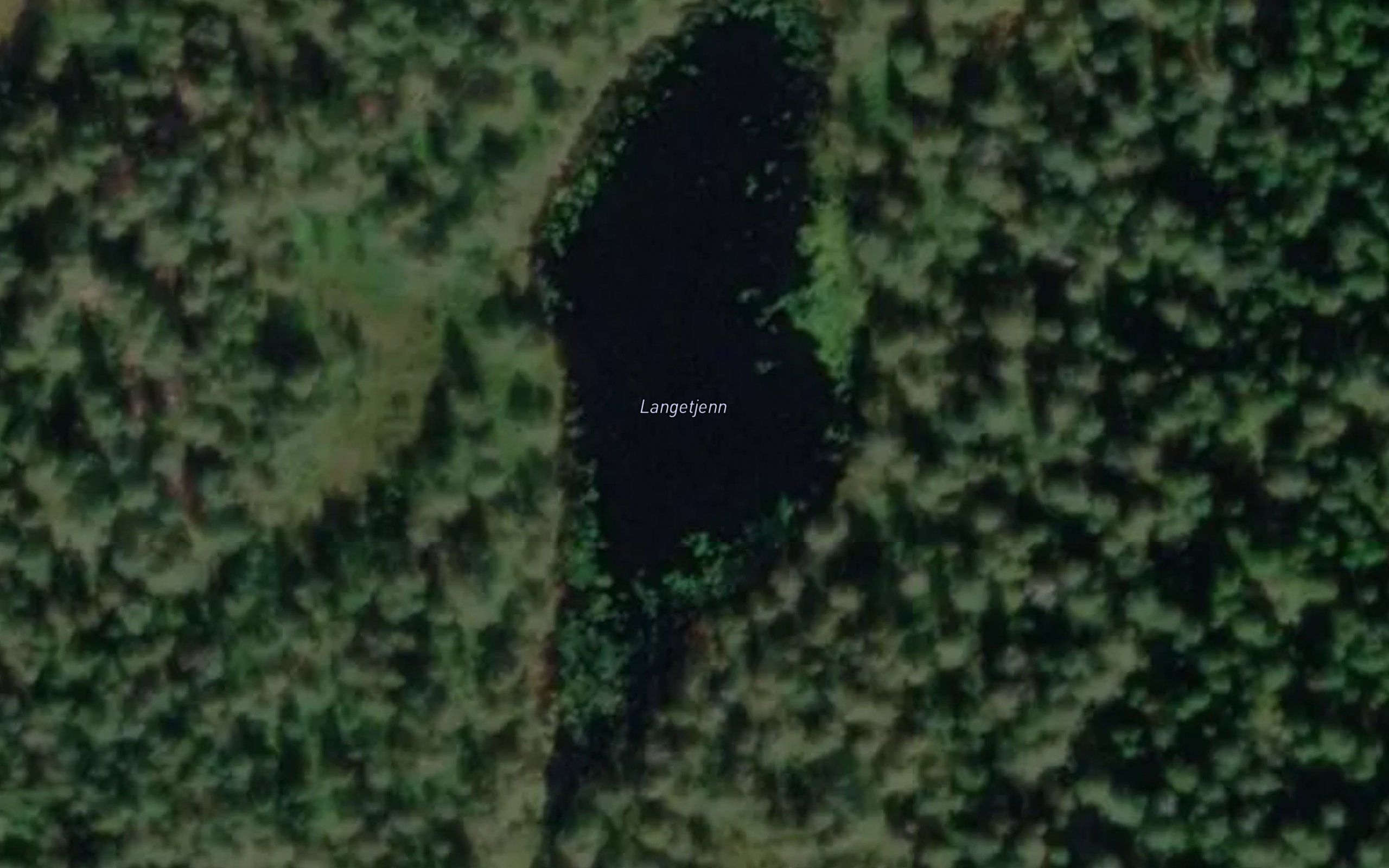 Langetjenn