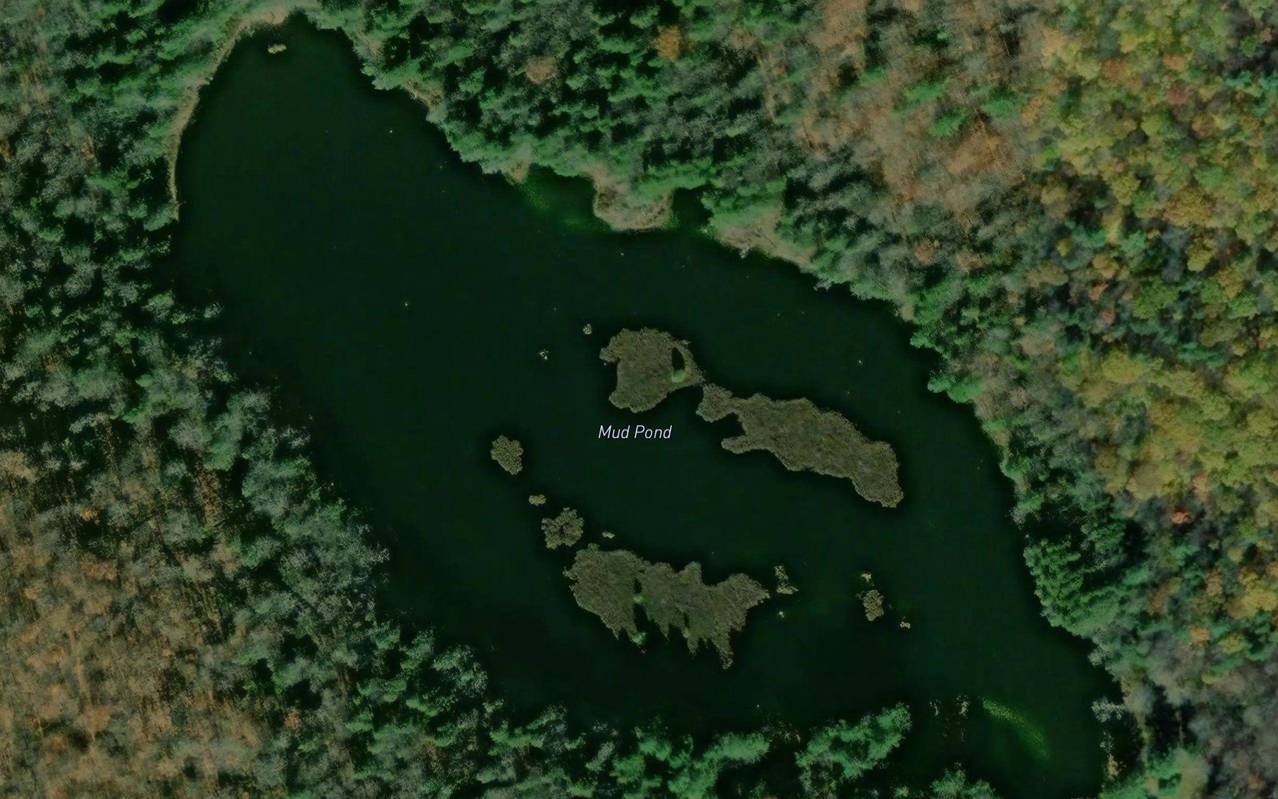 Mud Pond