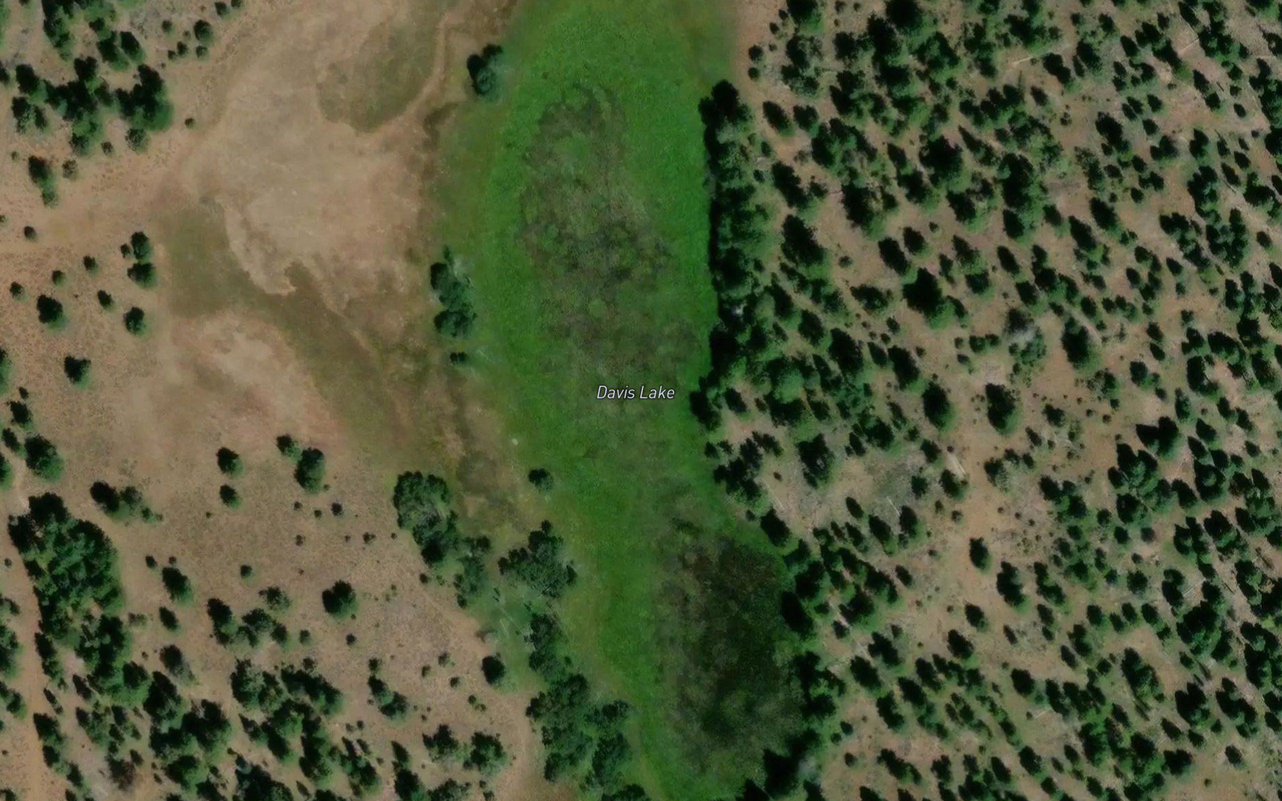 Davis Lake
