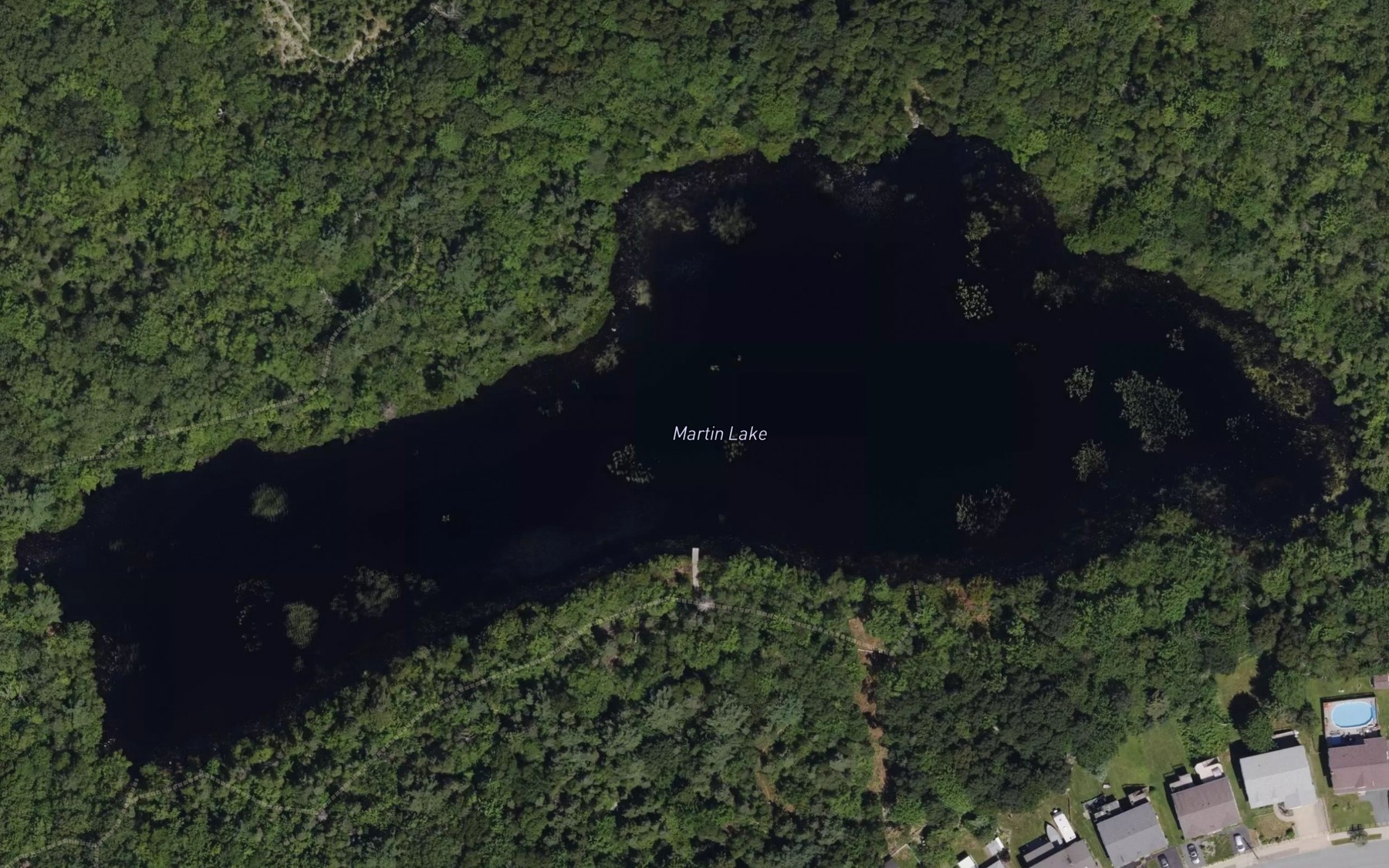 Satellite map of the Martin Lake