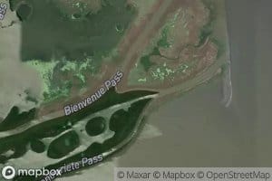 Timber Bayou