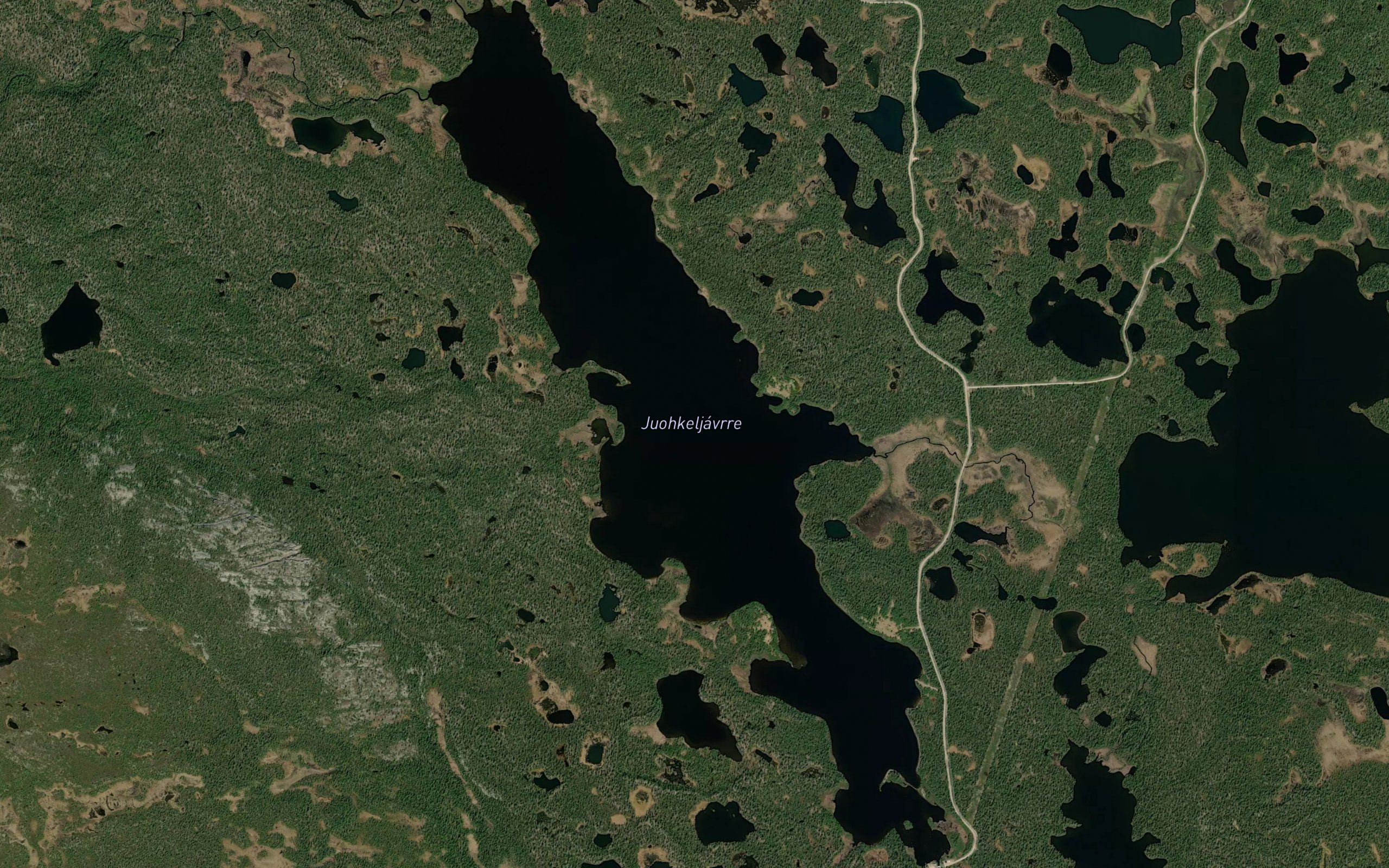 Juokkeljaure