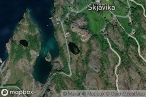 Buskartjonna