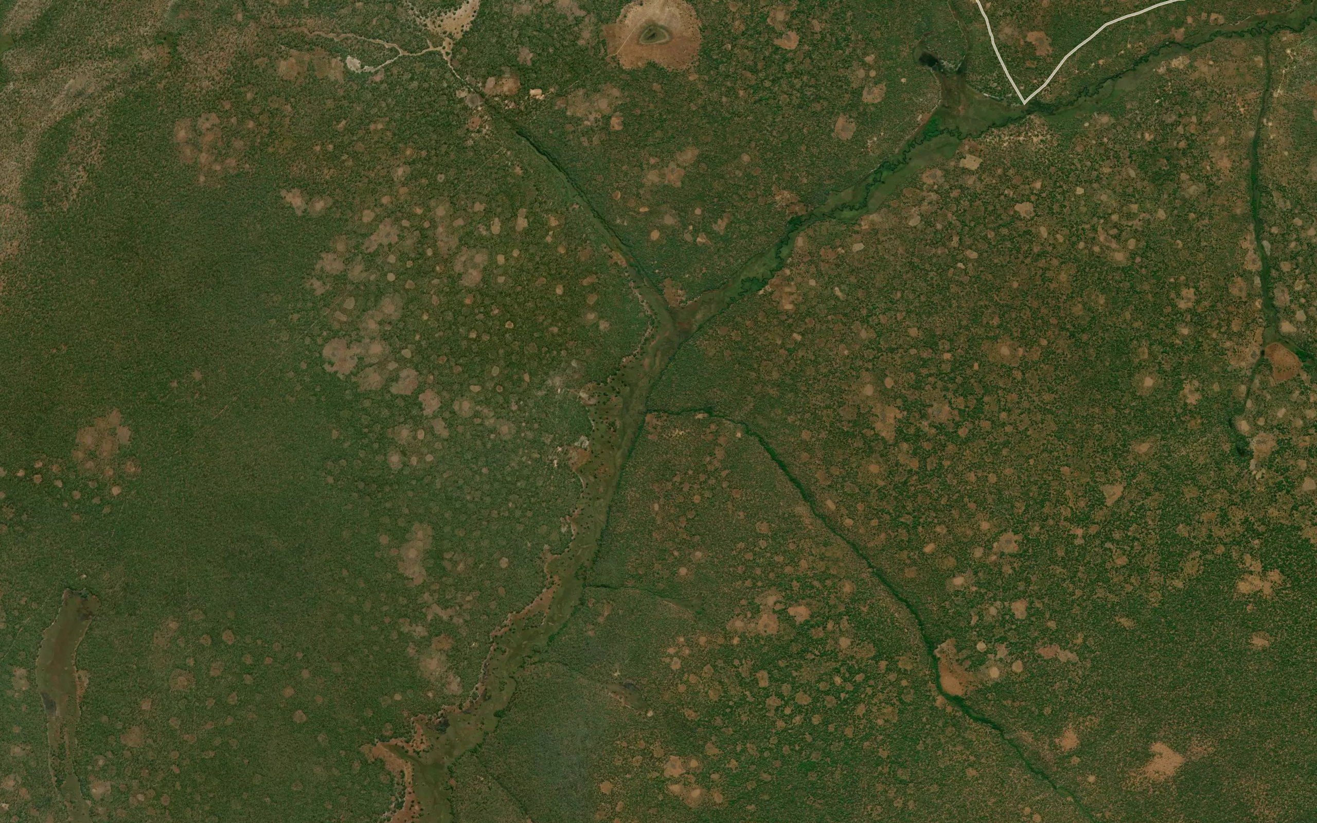 Bwanga