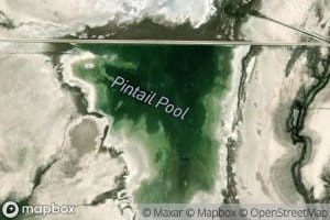 Pintail Pool