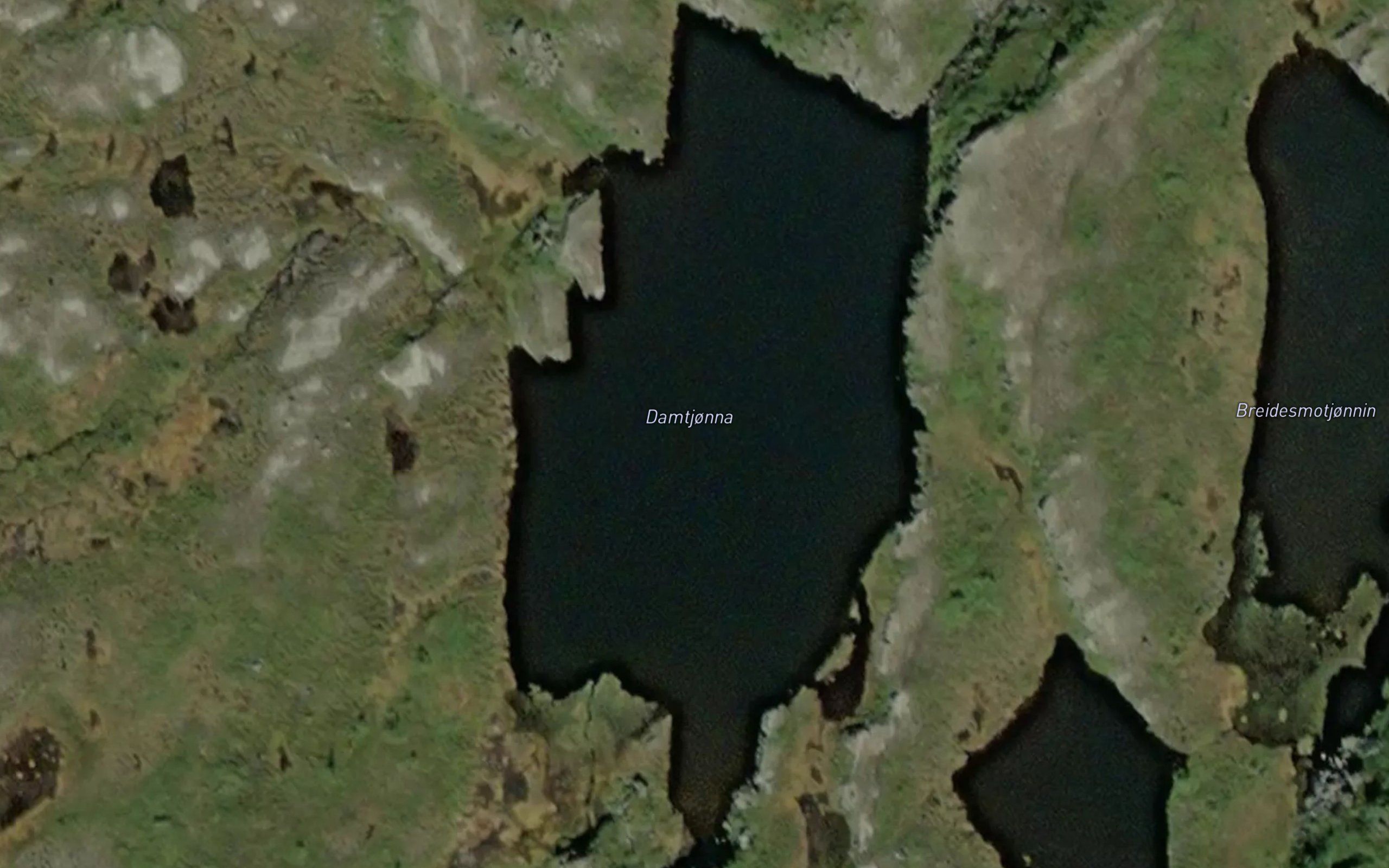 Damtjorna