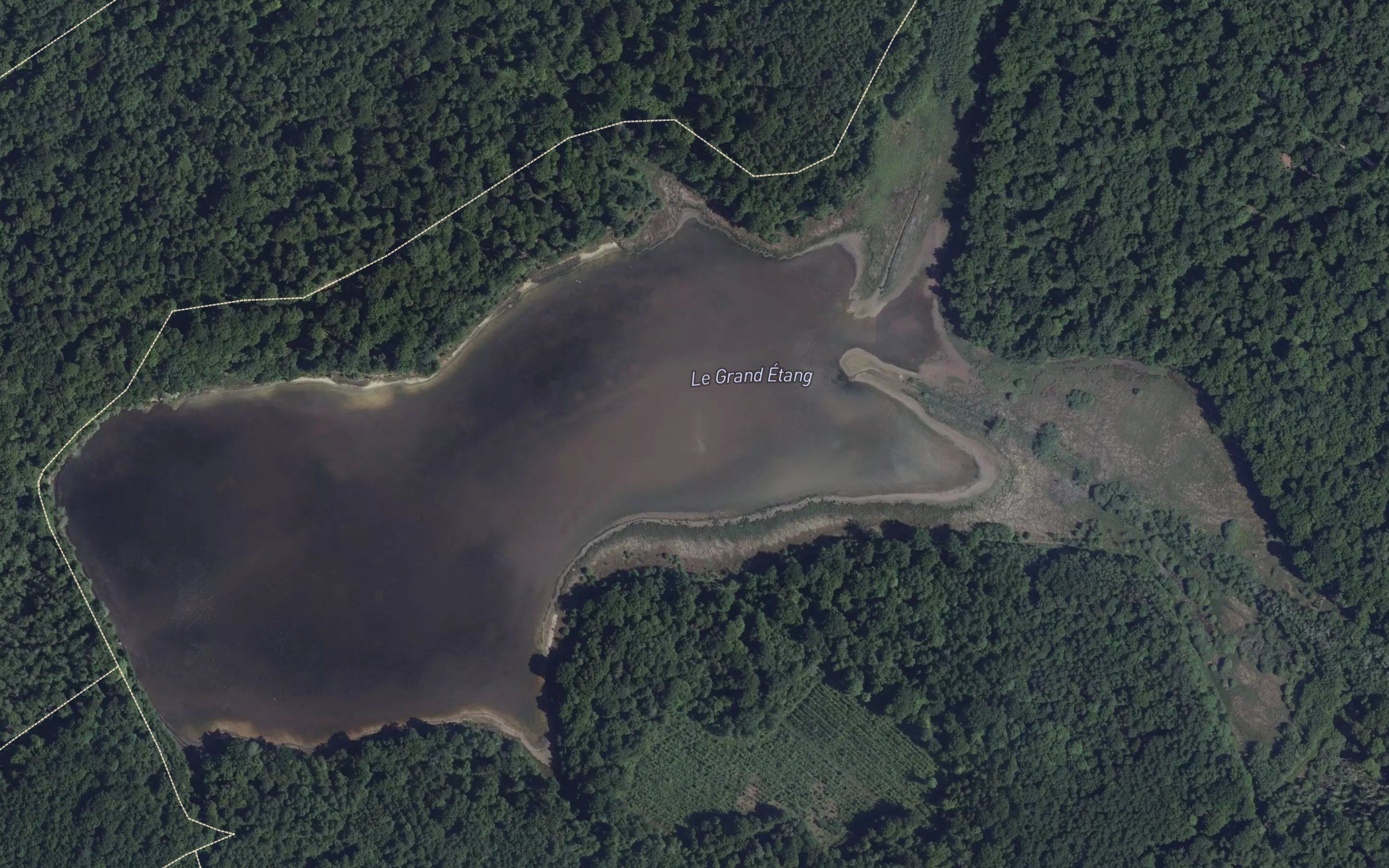 Le Grand Etang