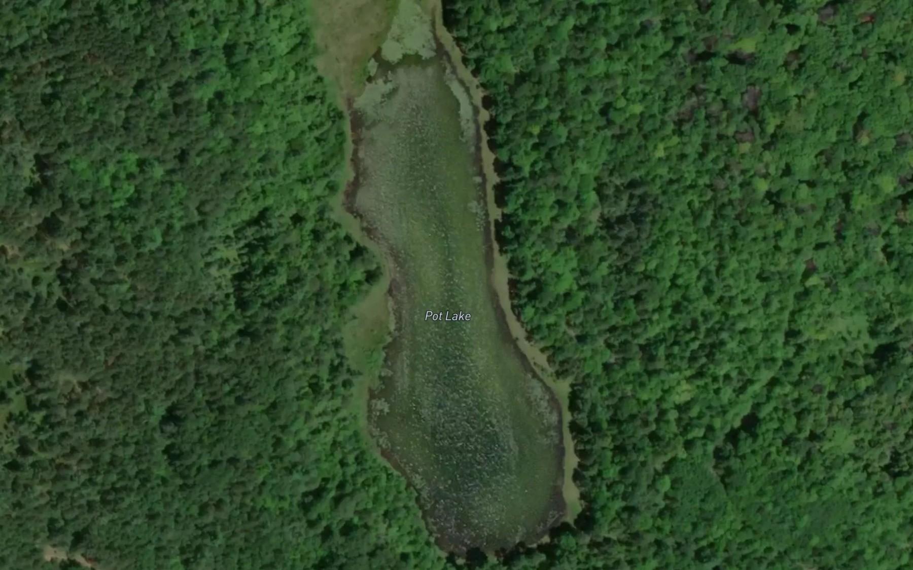 Satellite map of the Pot Lake