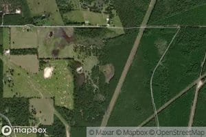 Gator Pond