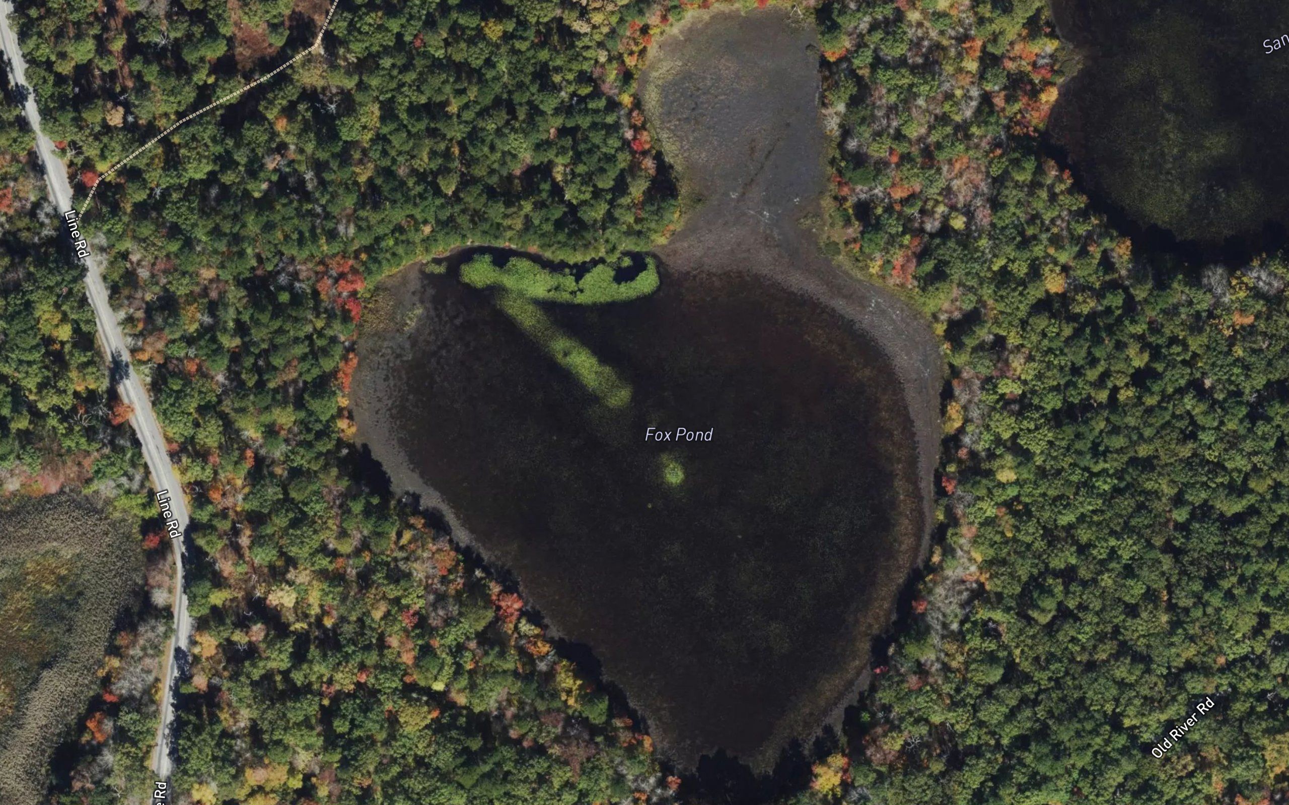 Fox Pond