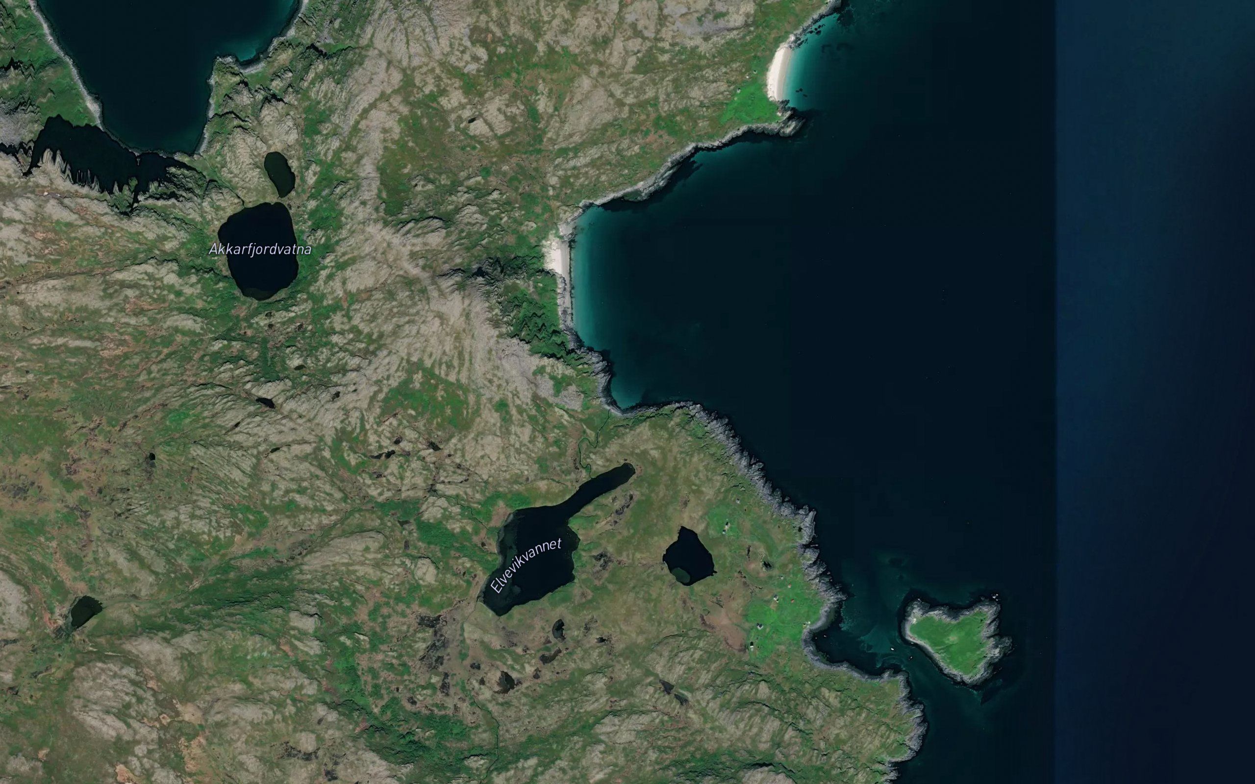 Elvevik
