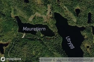 Mauretjern