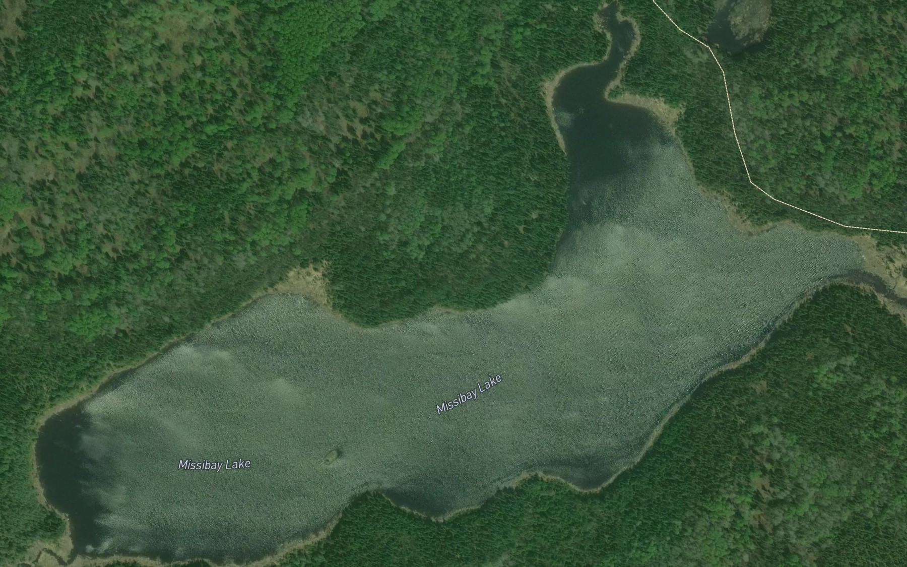 Satellite map of the Missibay Lake