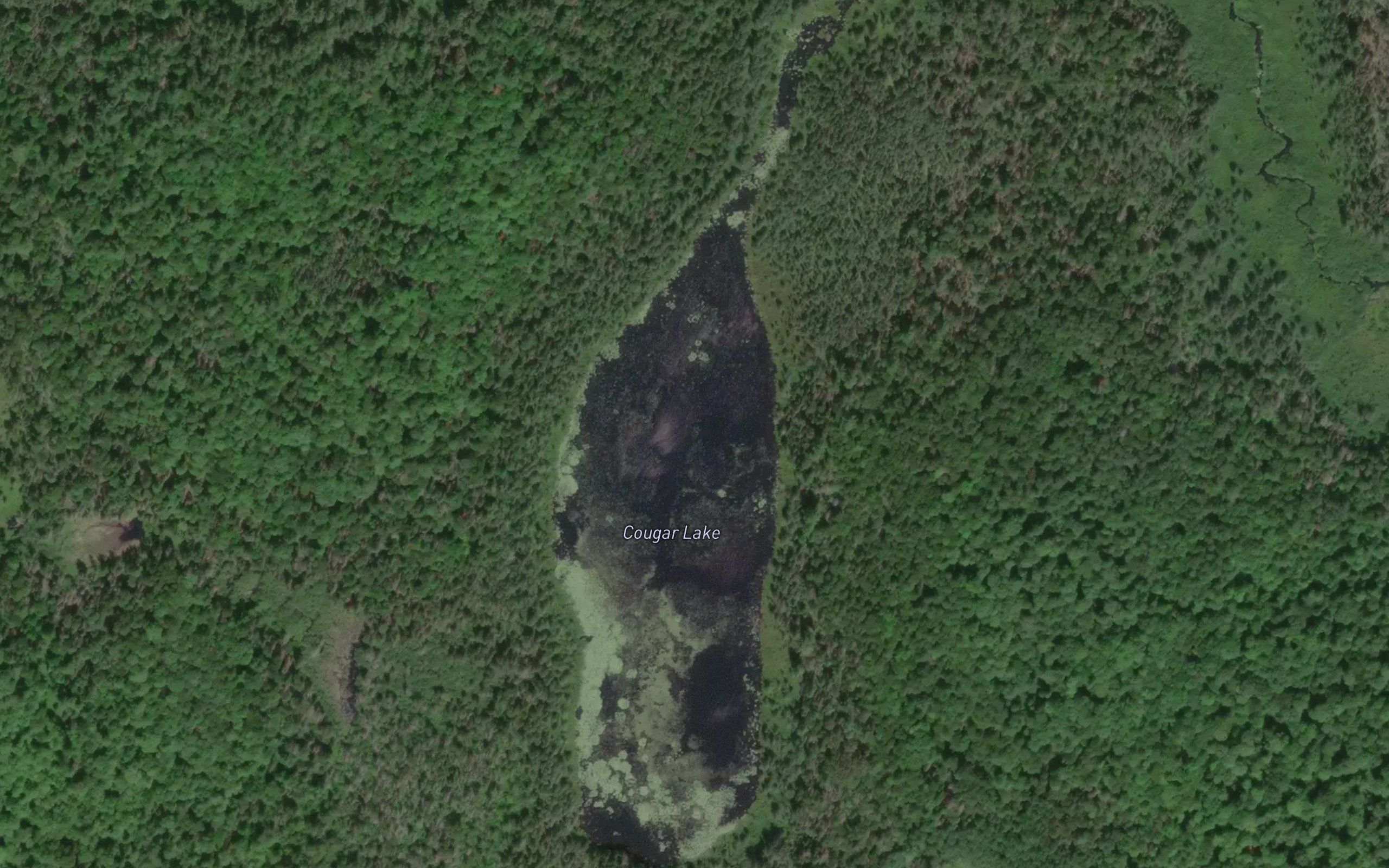 Cougar Lake