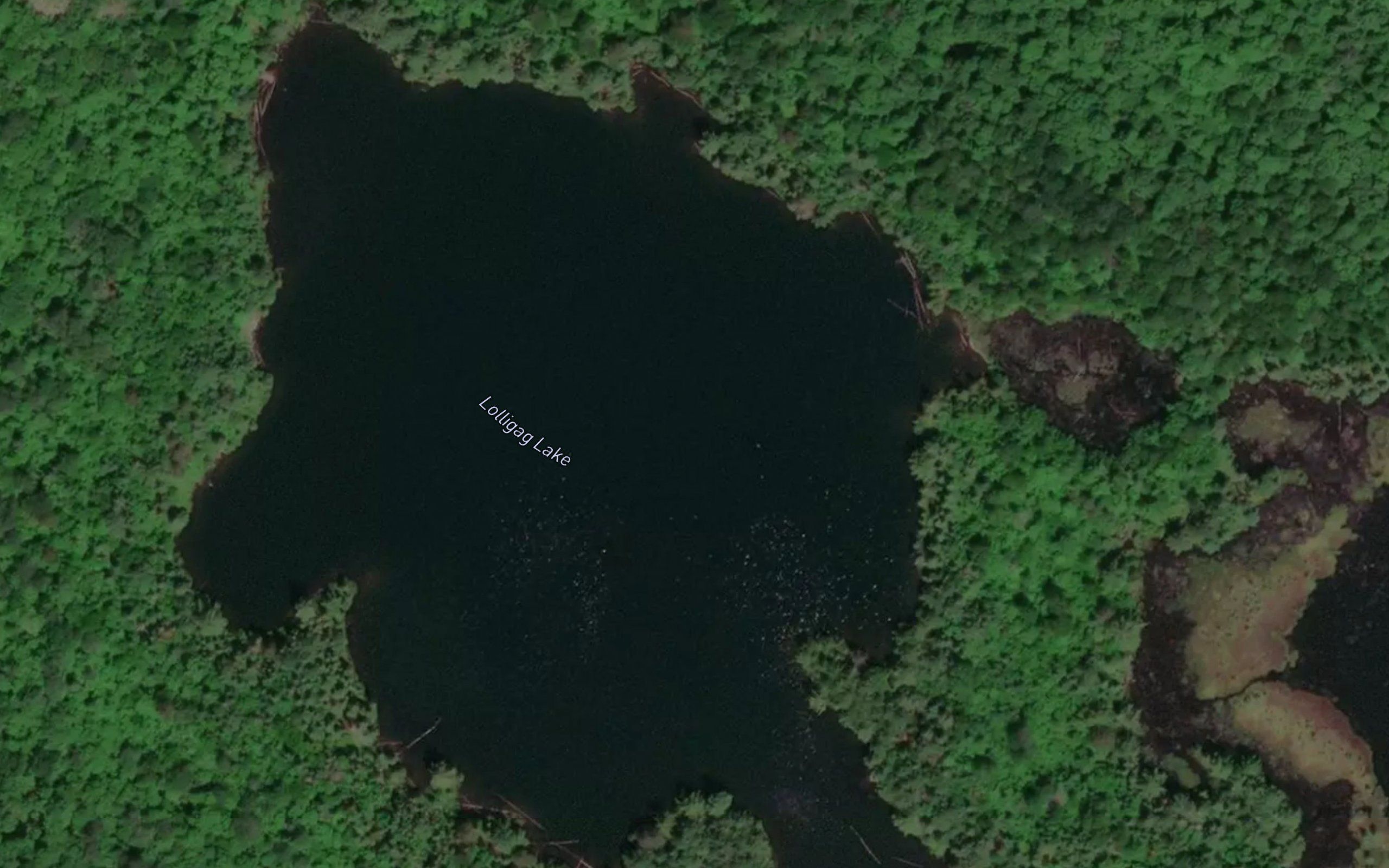 Lolligag Lake