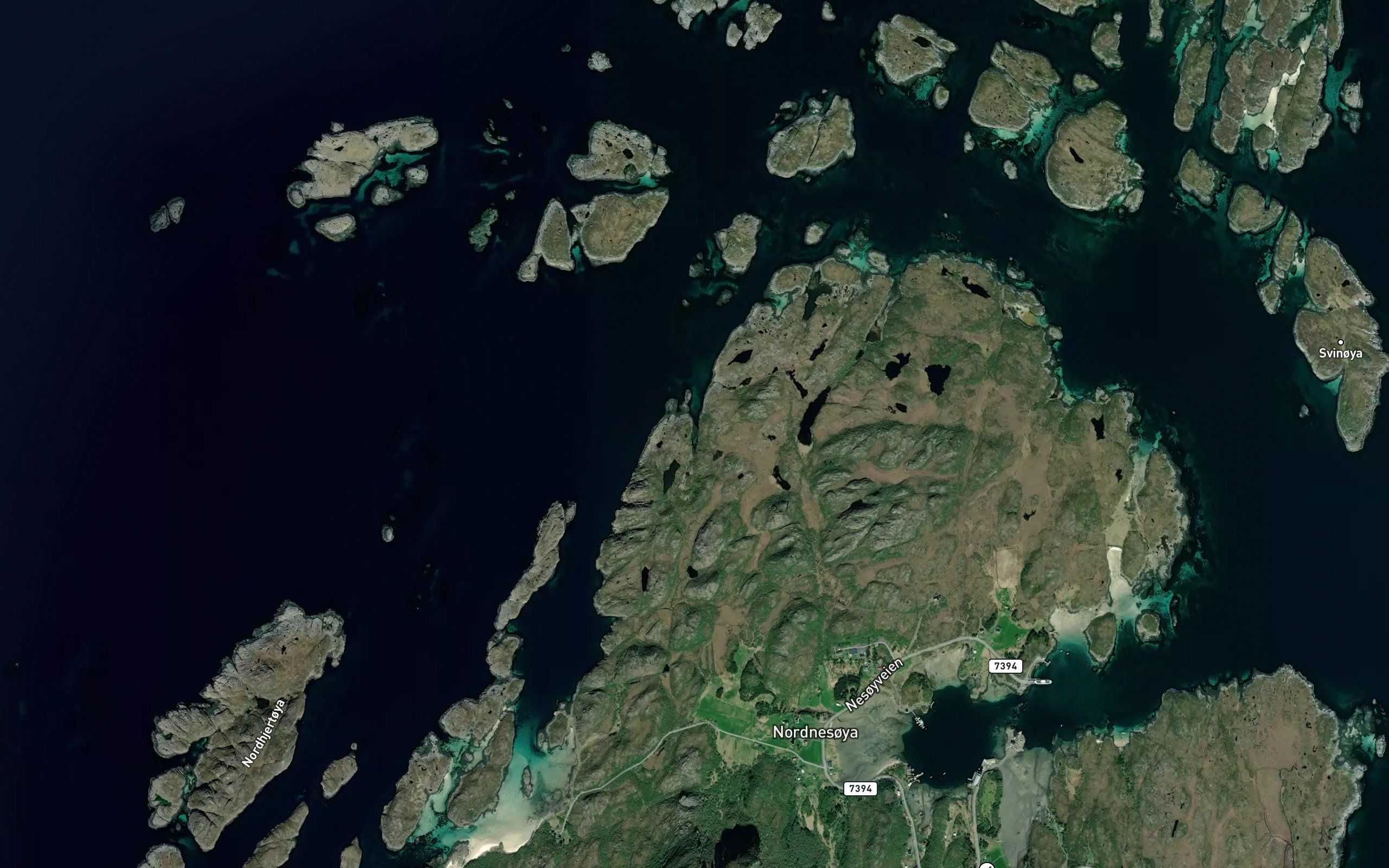 Rotvika
