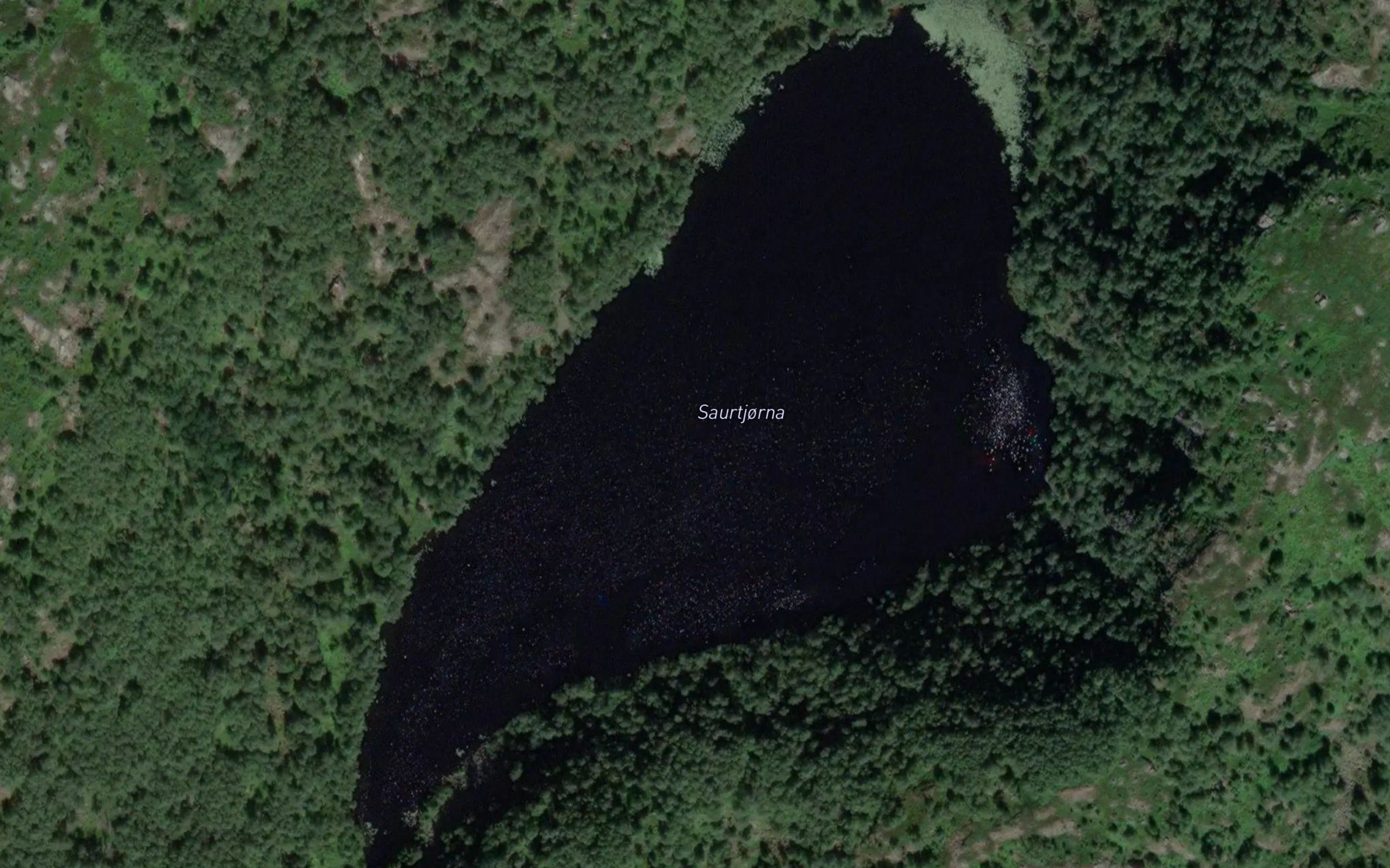 Saurtjorni