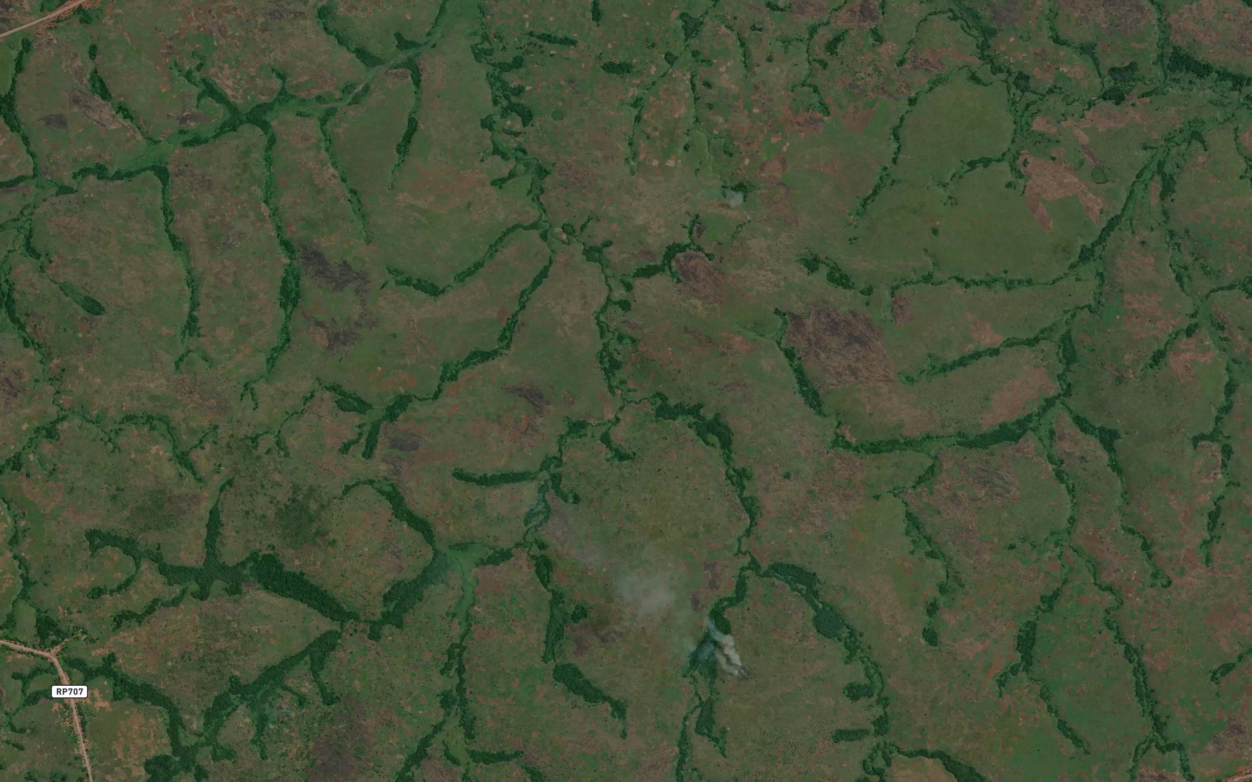 Ntongu