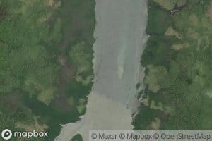 Gallo Malo Channel