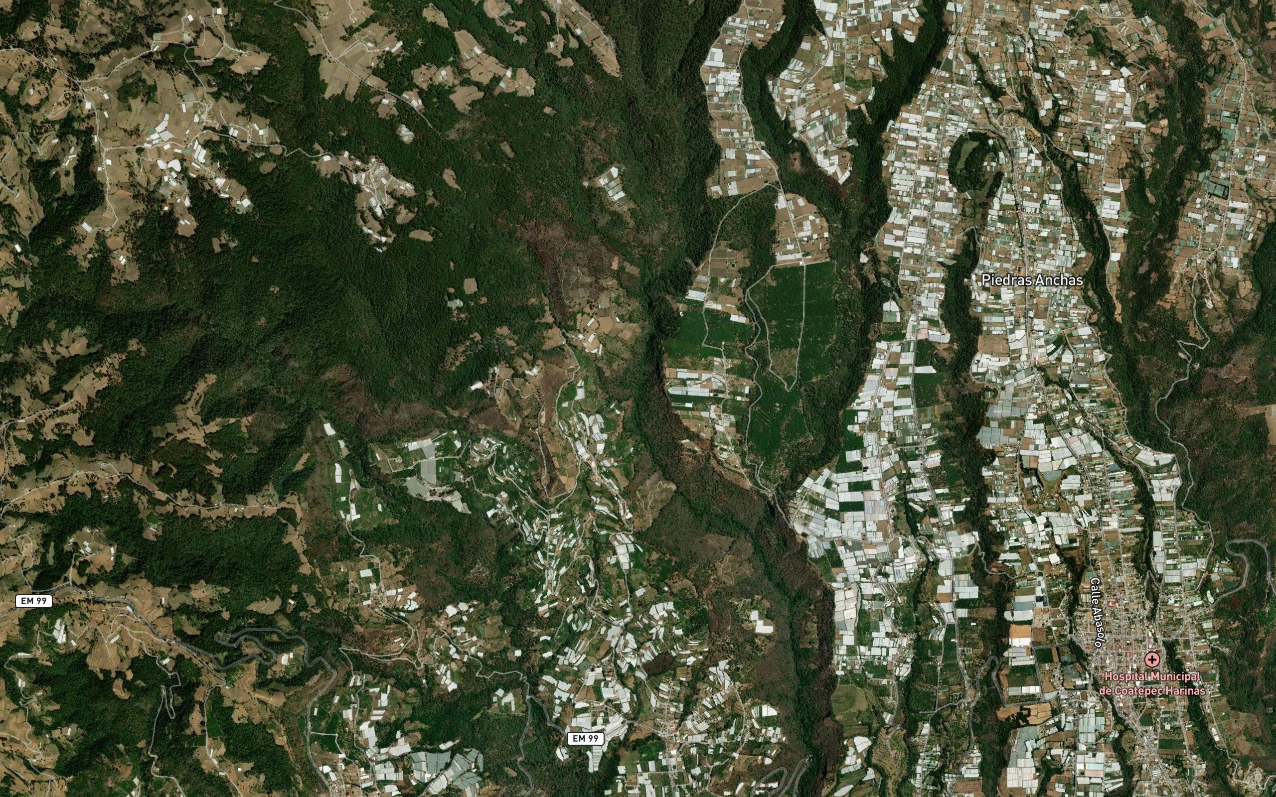 Culebrillas