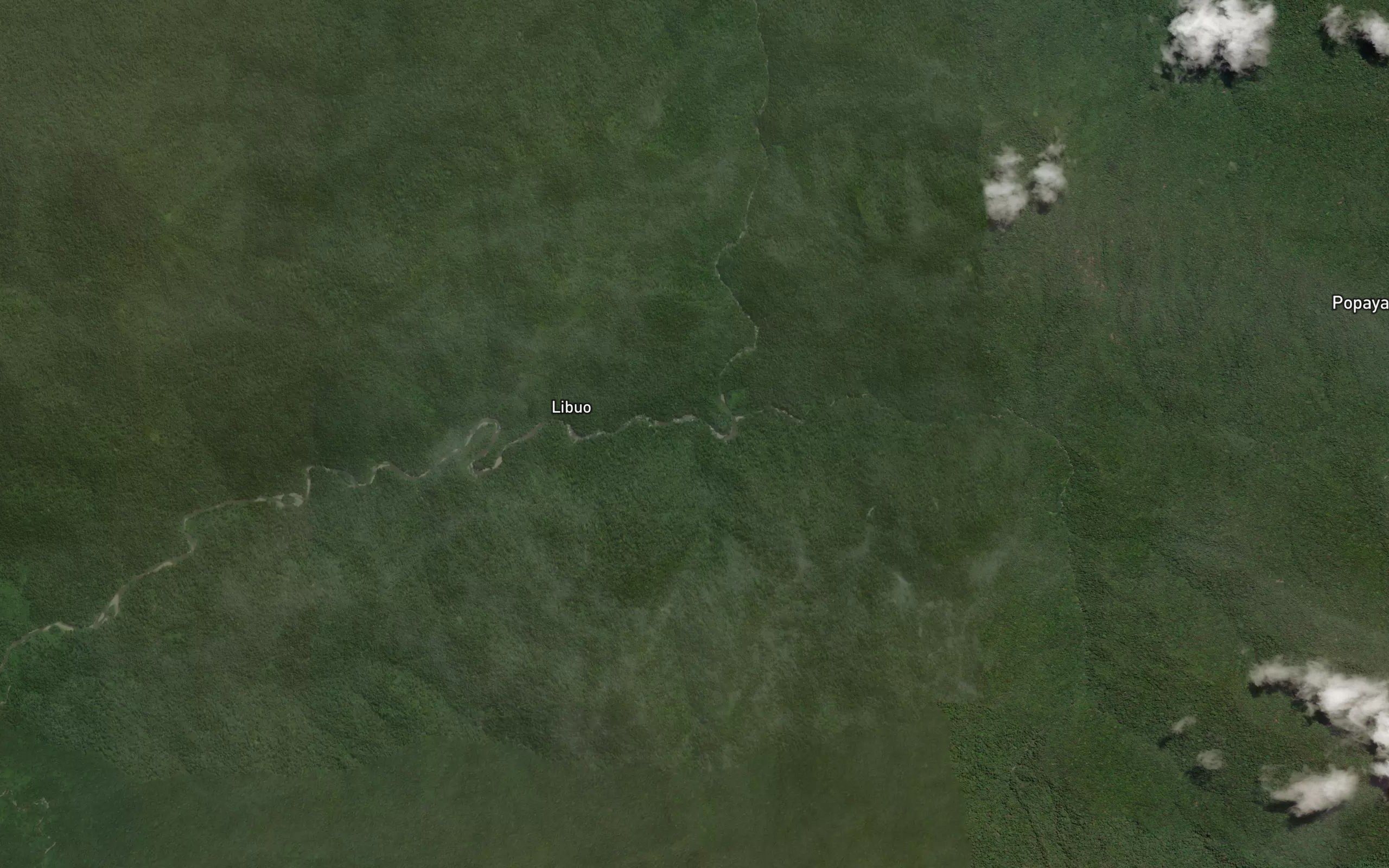 Dutula Holopala