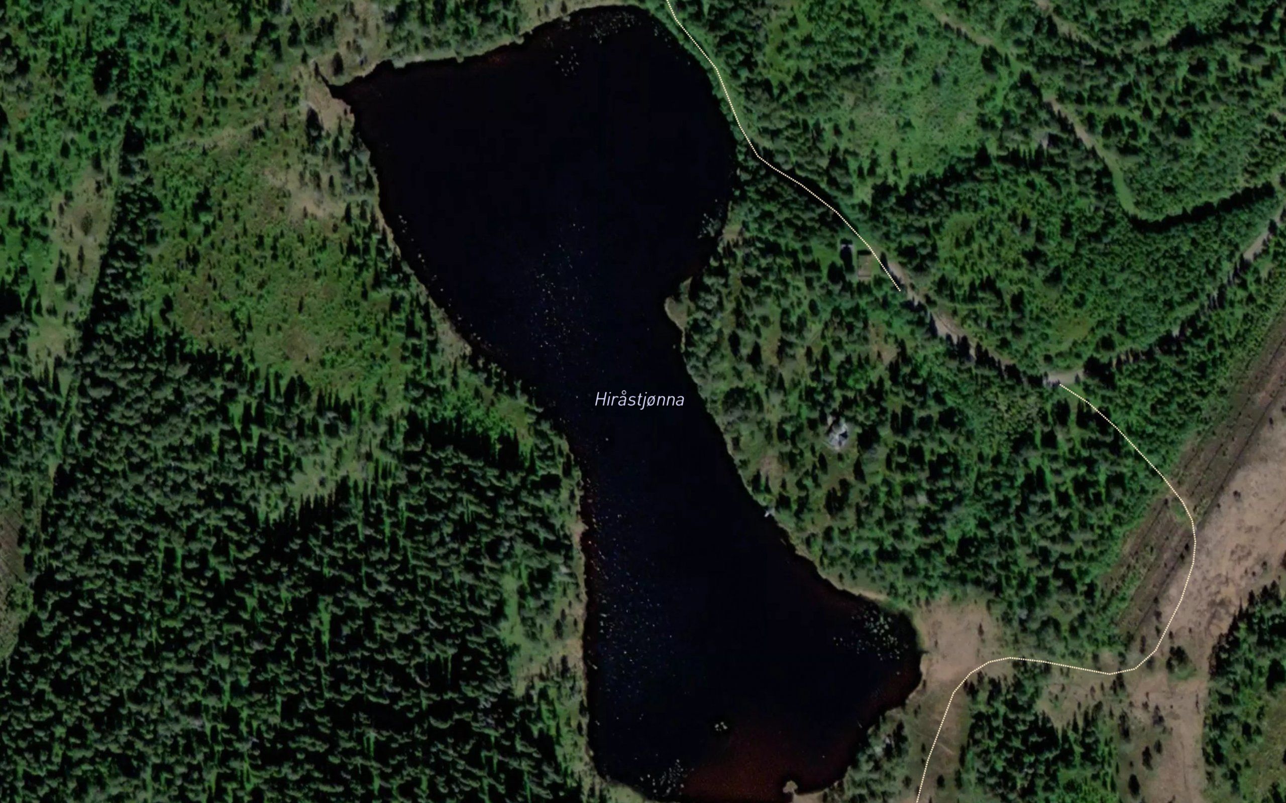 Hirastjorna