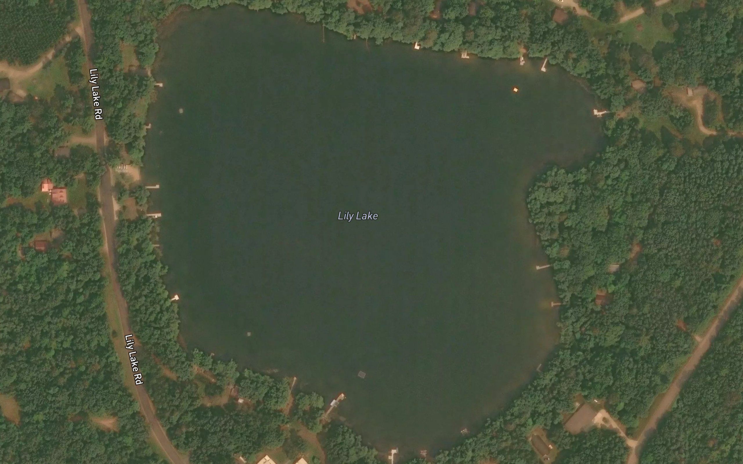 Lily Lake