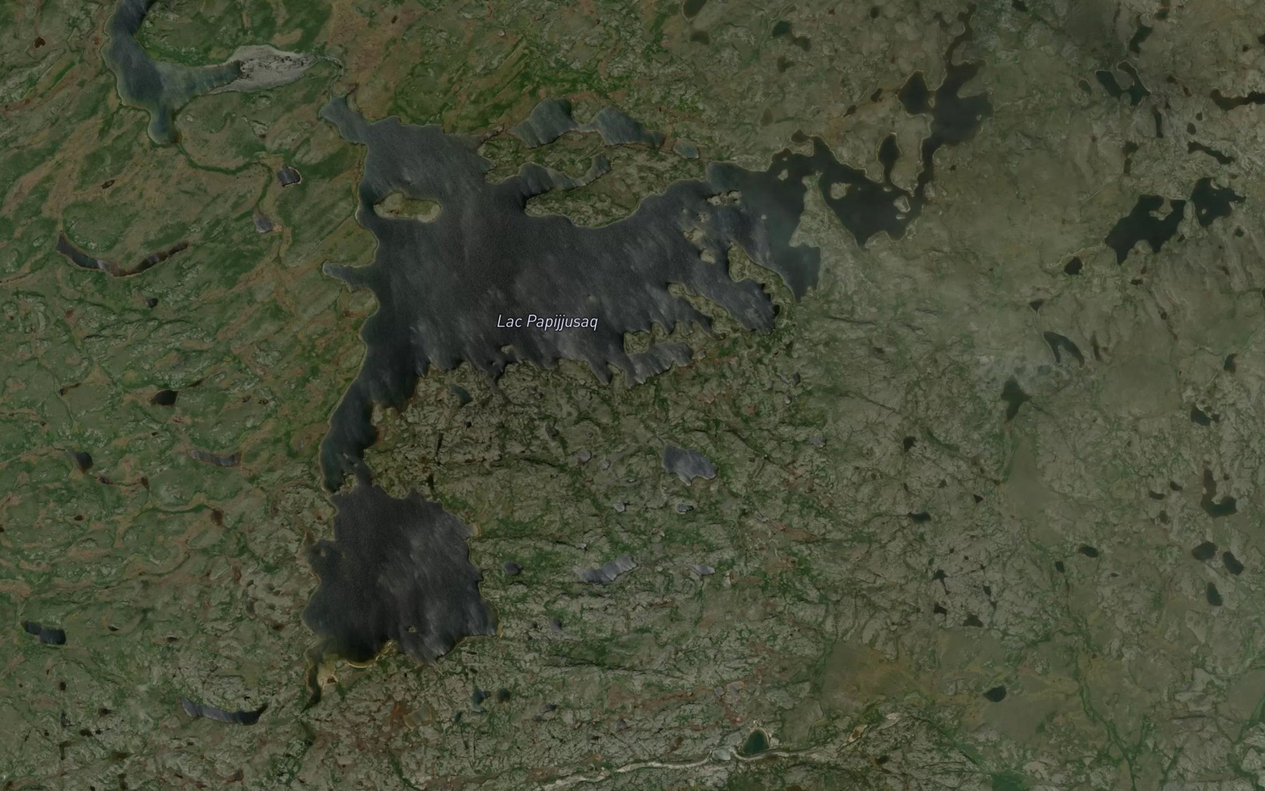 Satellite map of the Lac Papijjusaq