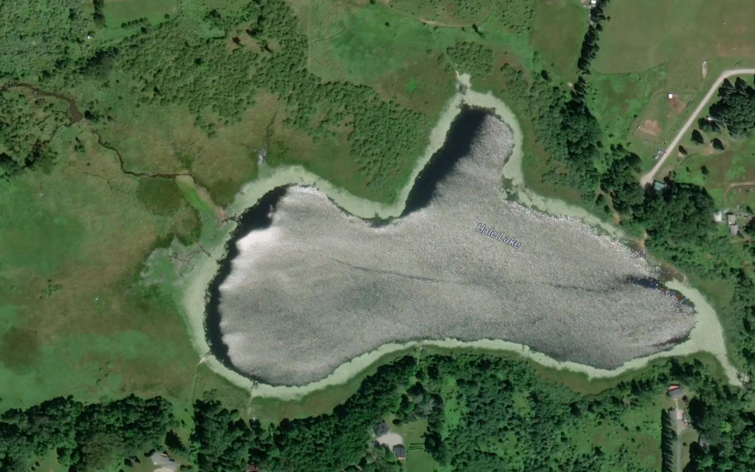 Hale Lake