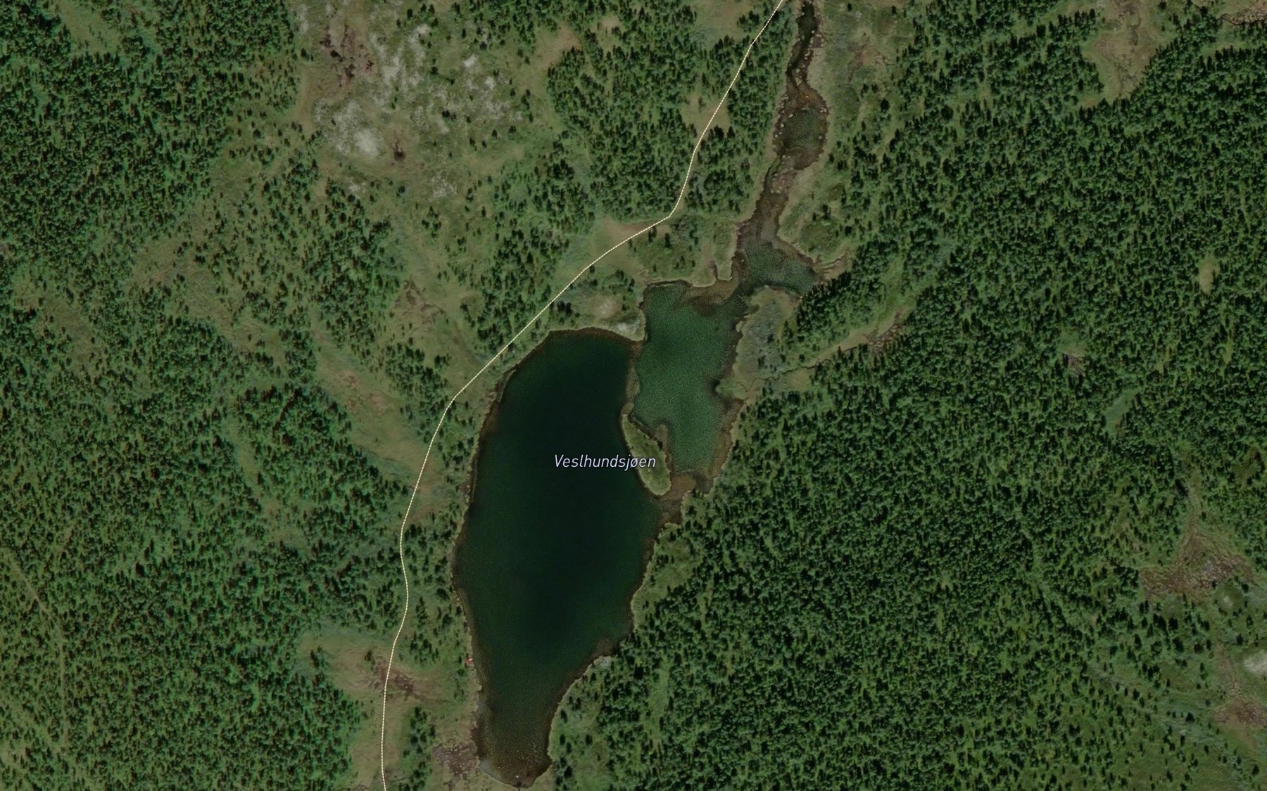 Satellite map of the Veslhundsjoen