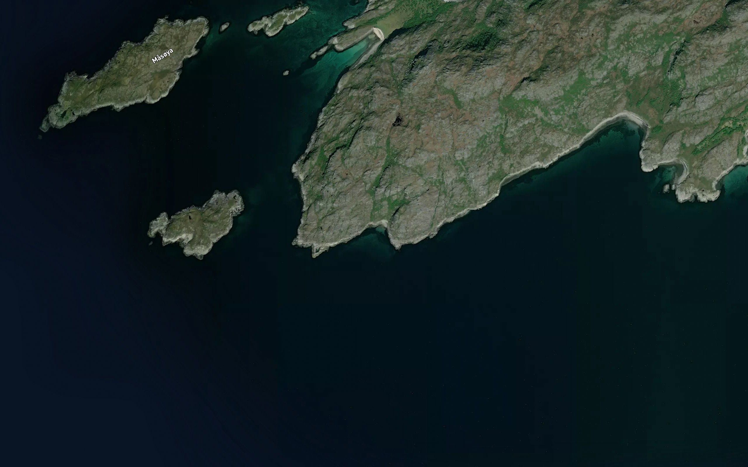 Tortenvika