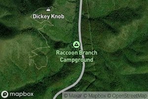 Raccoon Branch