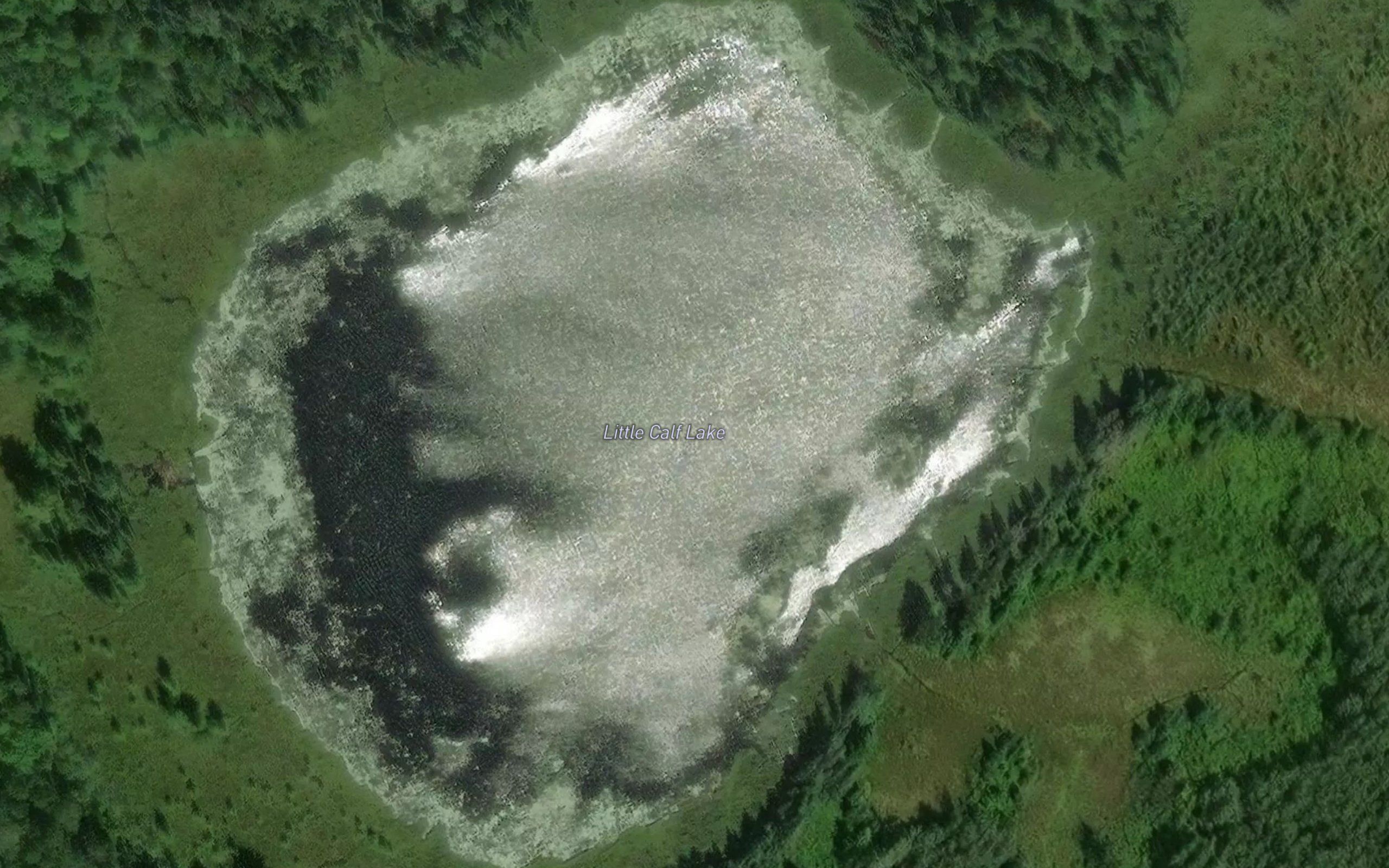 Little Calf Lake