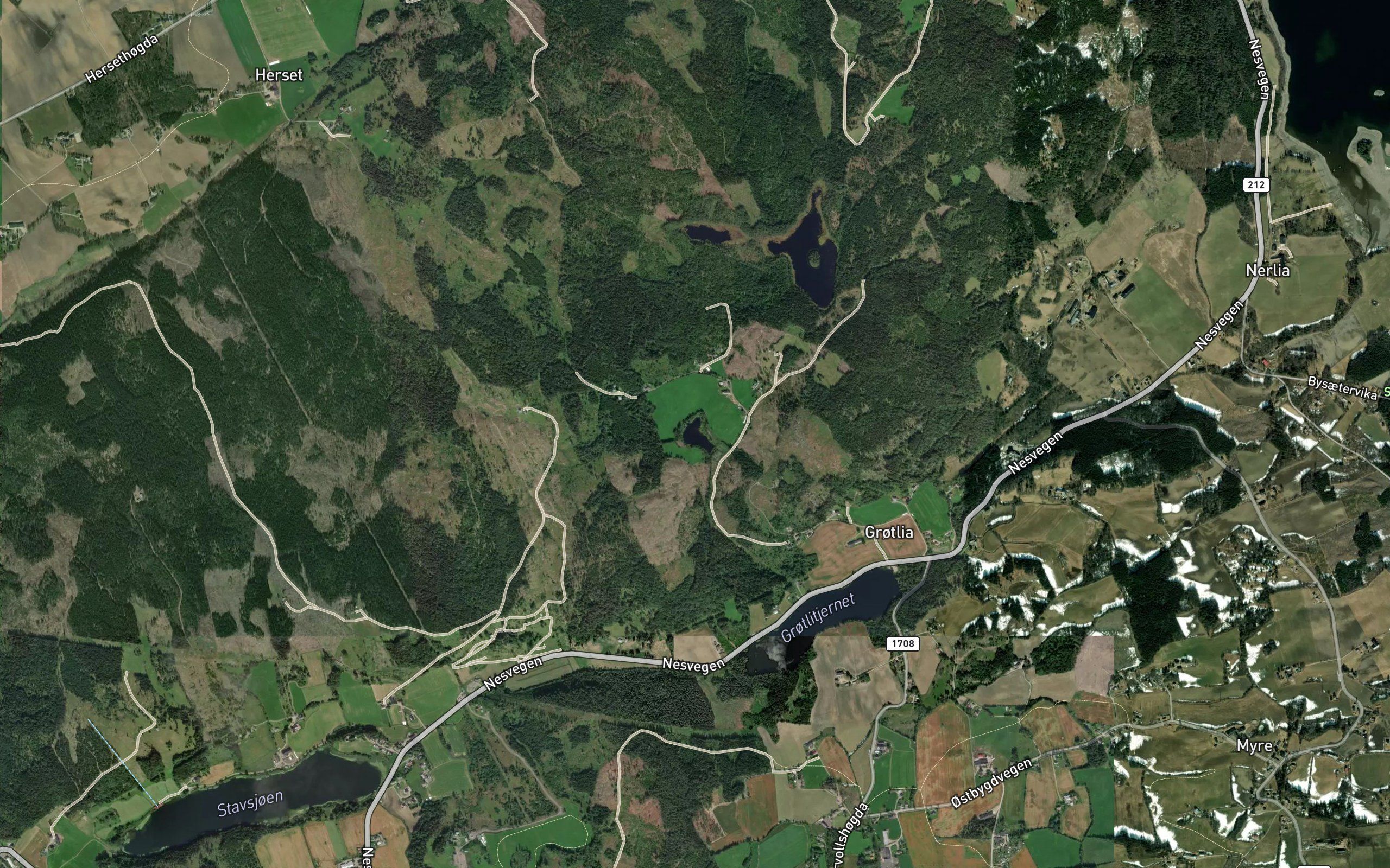 Haugomtjennet
