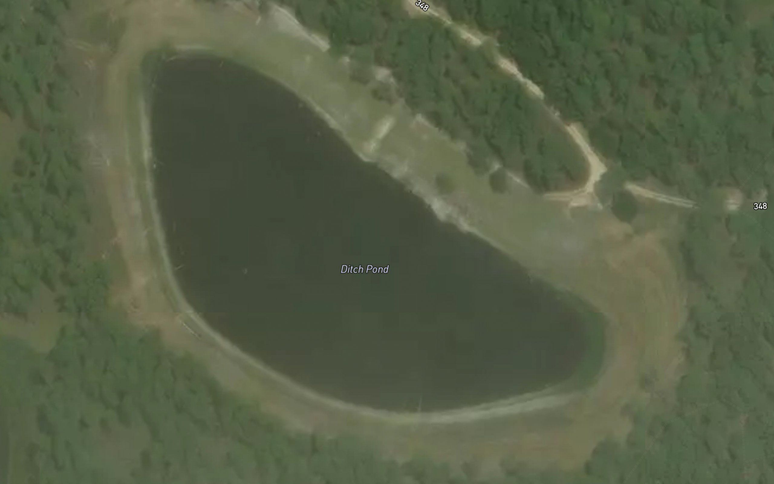 Ditch Pond