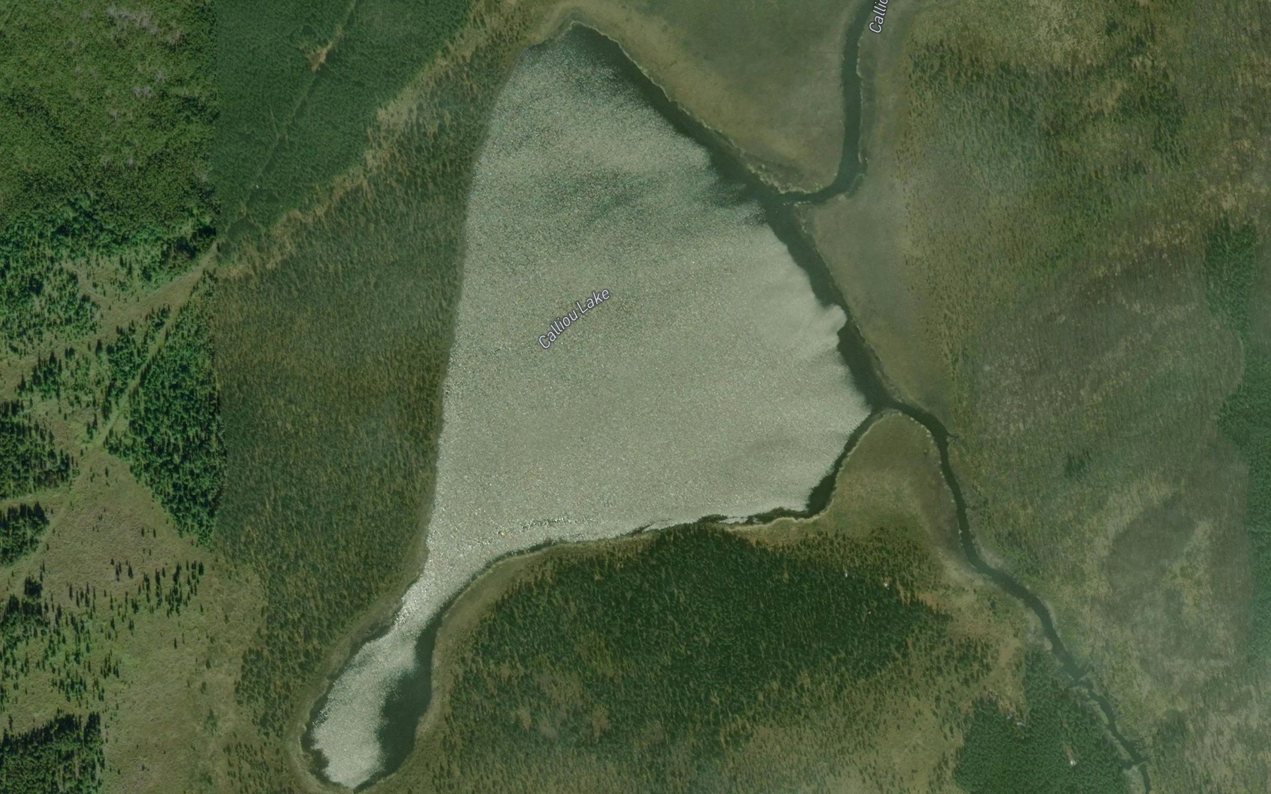 Calliou Lake