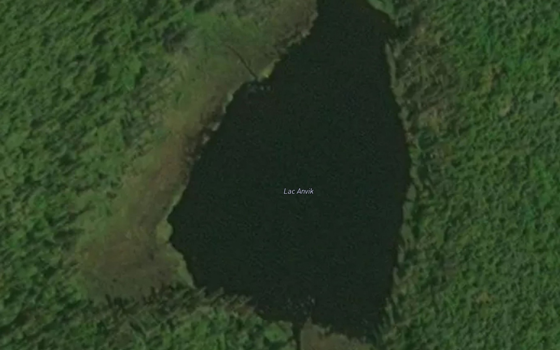 Satellite map of the Lac Anvik