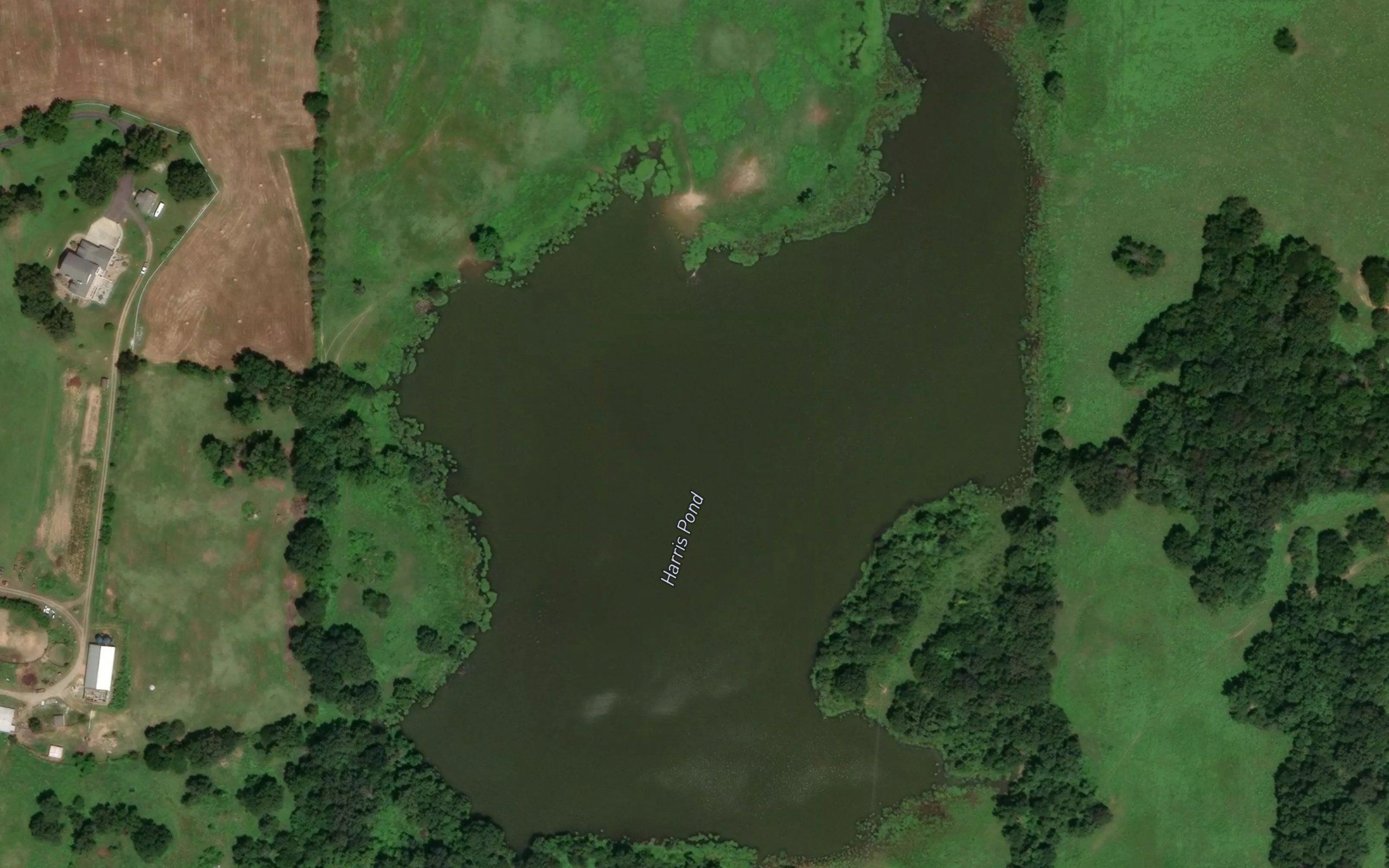 Harris Pond