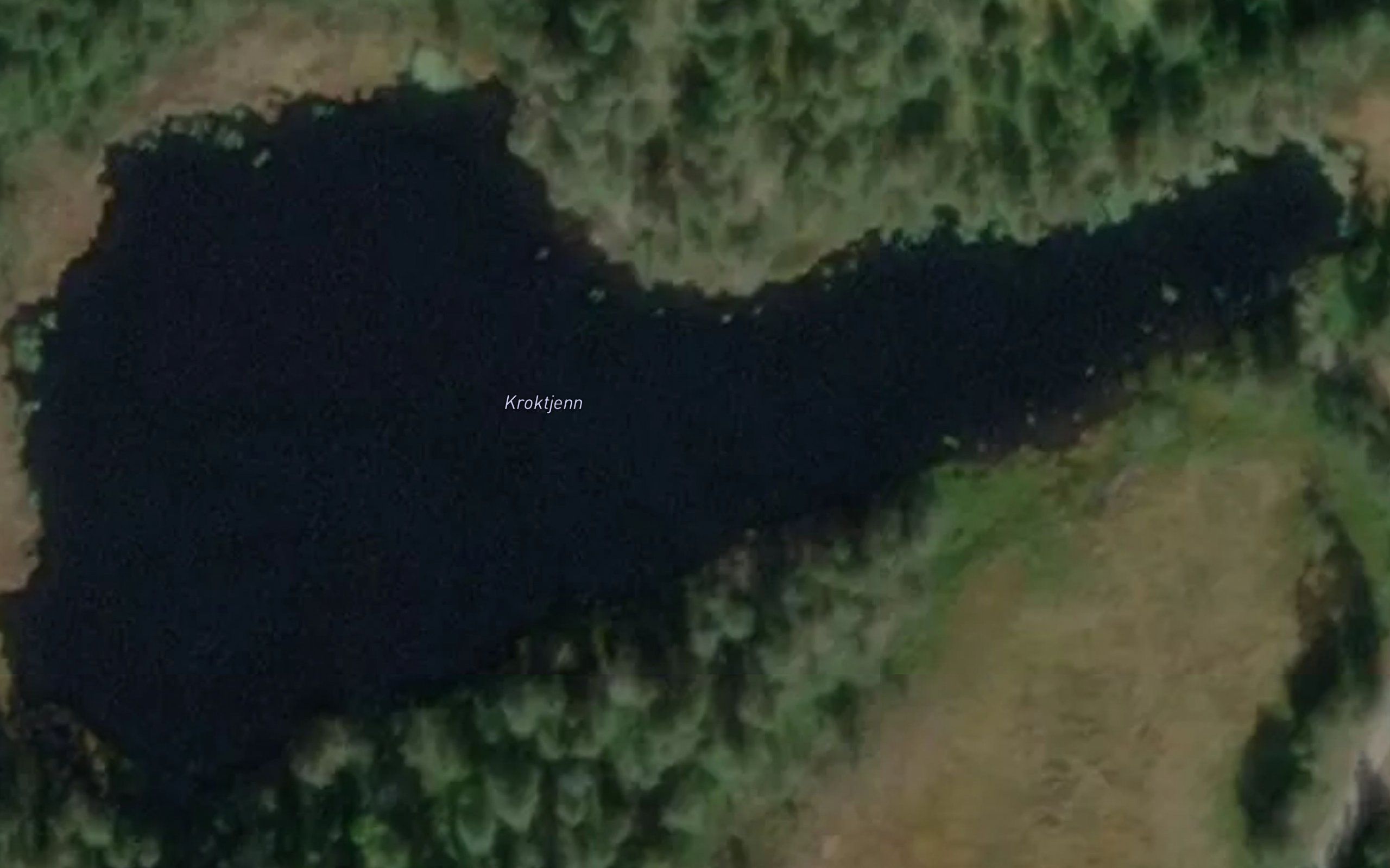 Kroktjern