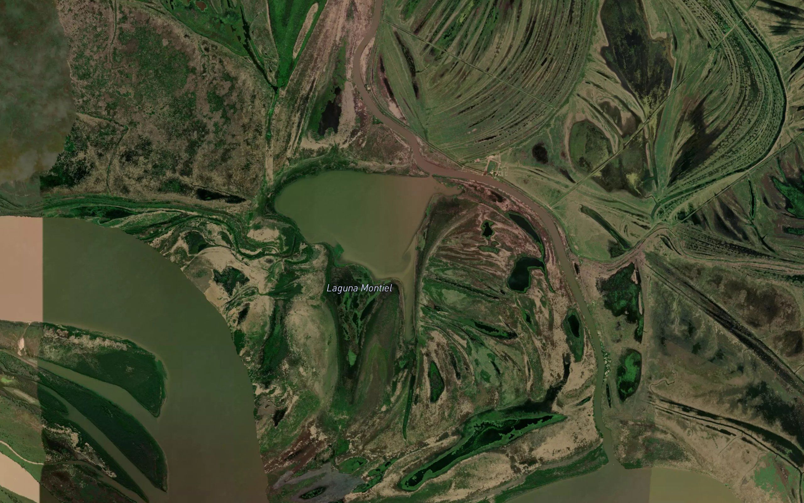Laguna Montiel