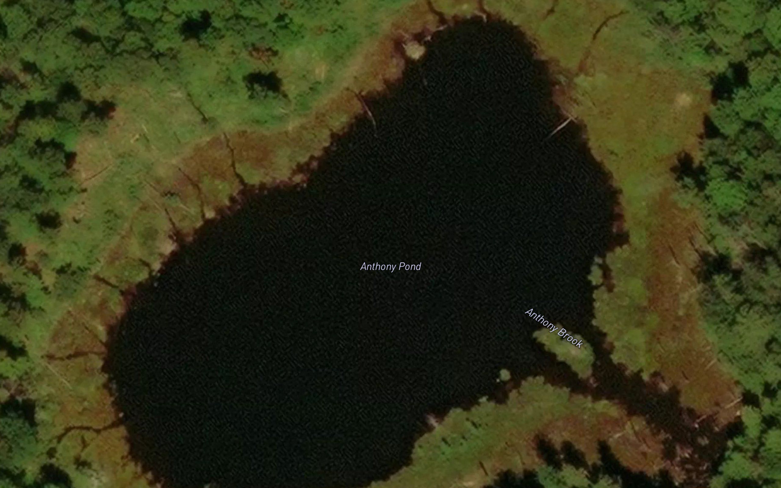 Anthony Pond
