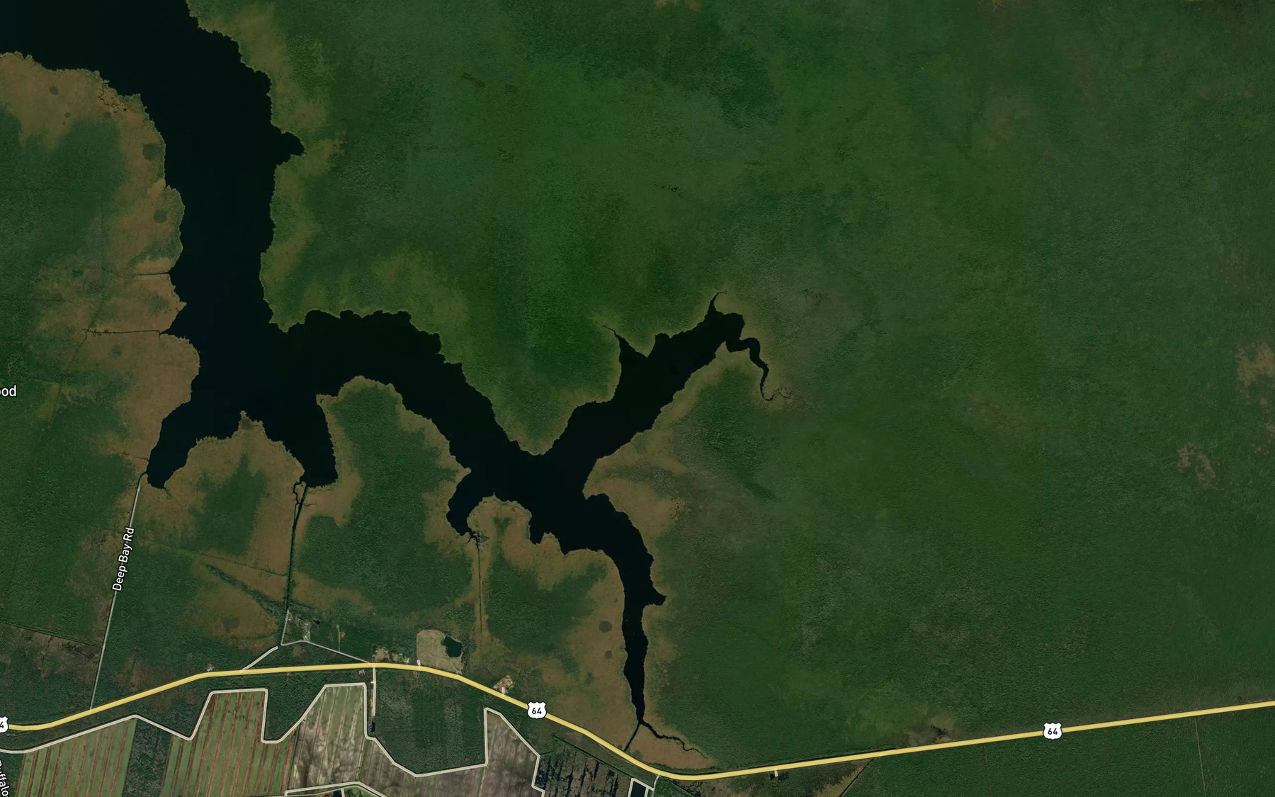 Satellite map of the Northeast Prong