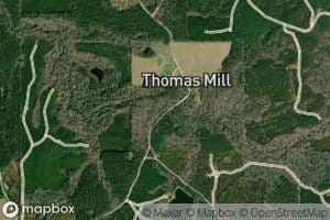 Hammermill Paper Company Lake